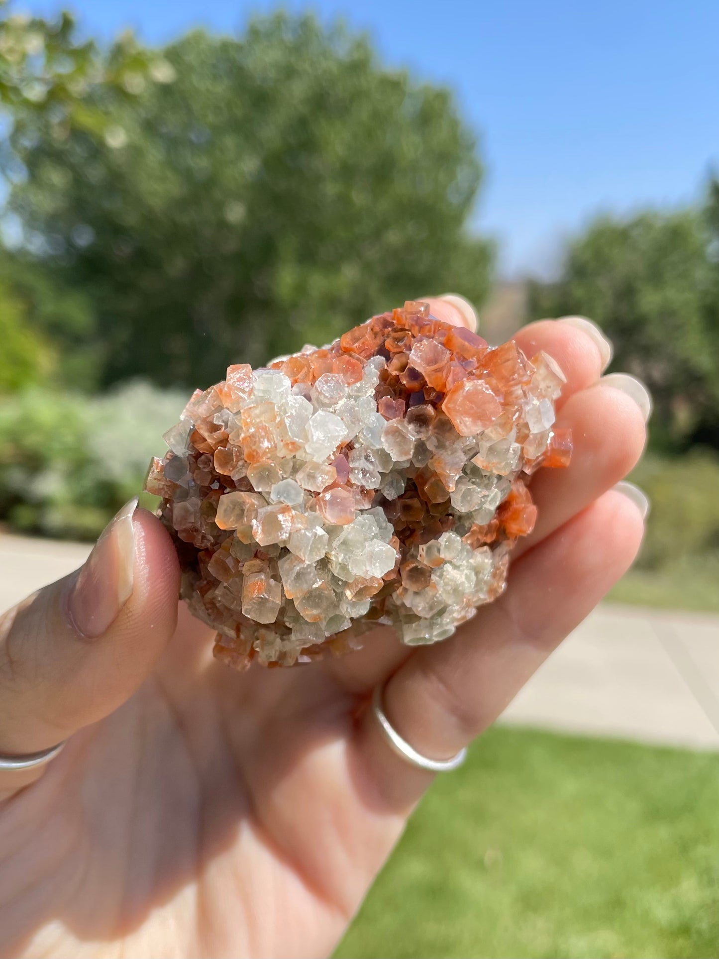 Green & Orange Aragonite ( g )