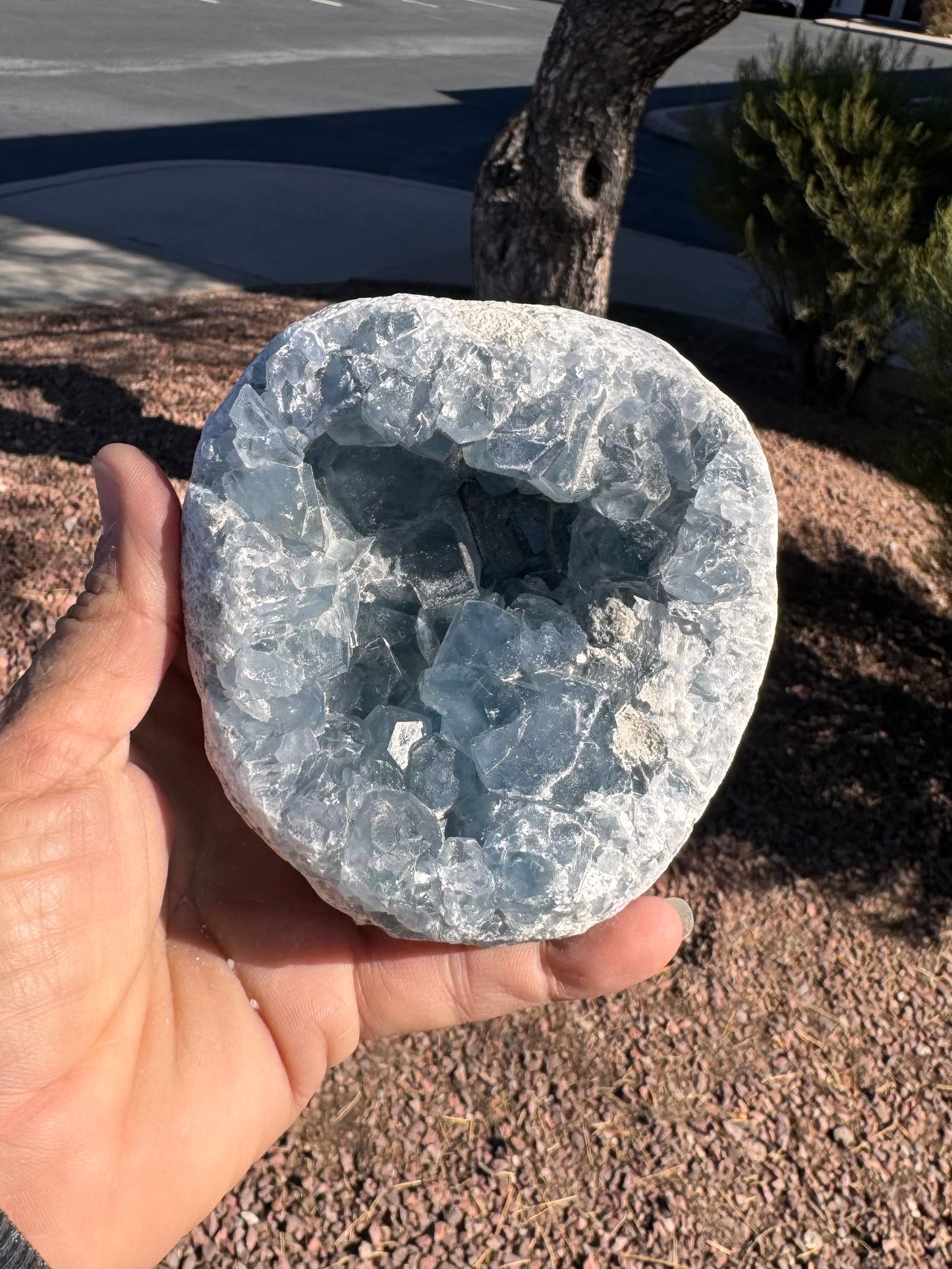 Celestite