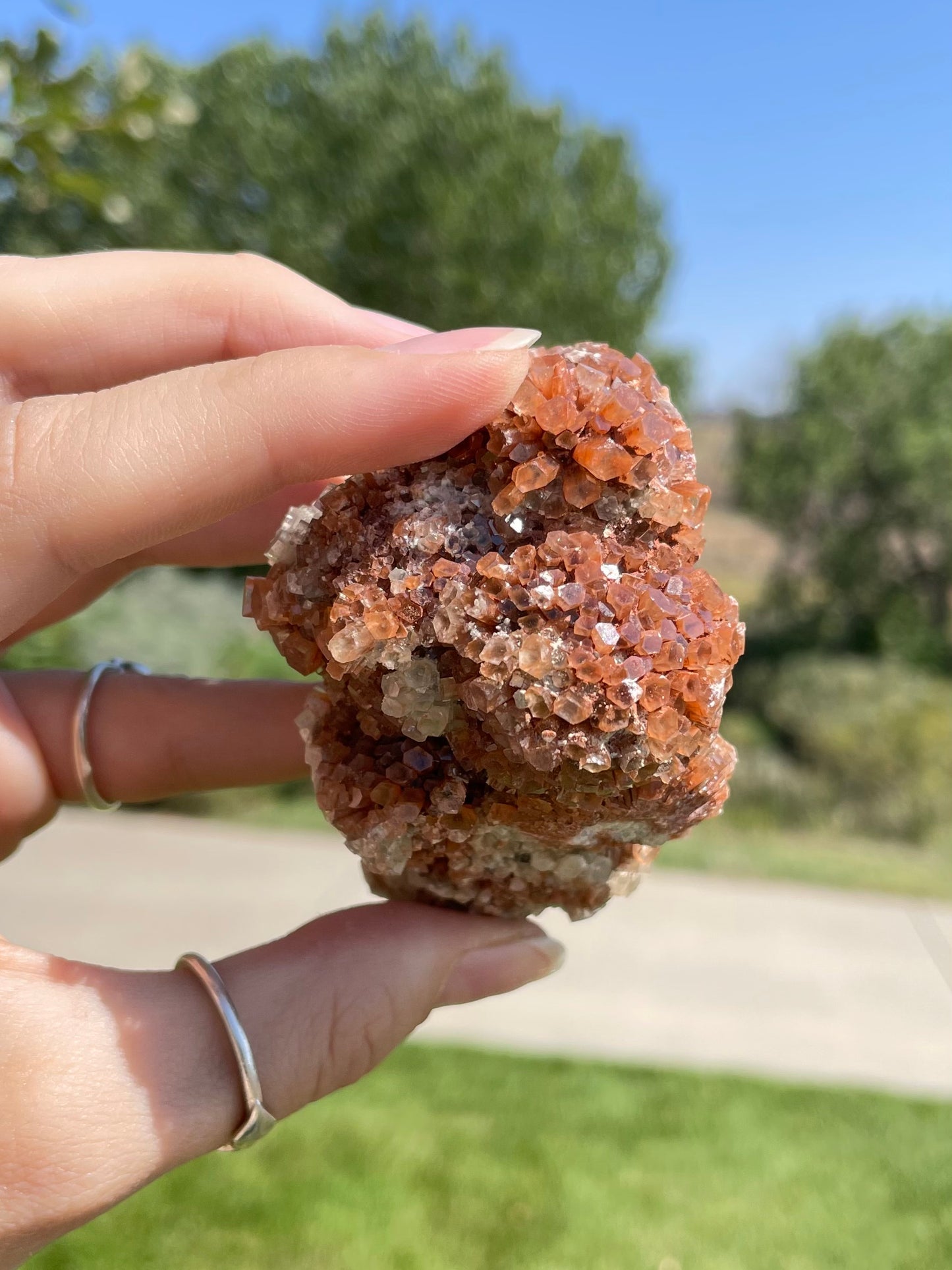 Green & Orange Aragonite ( M )