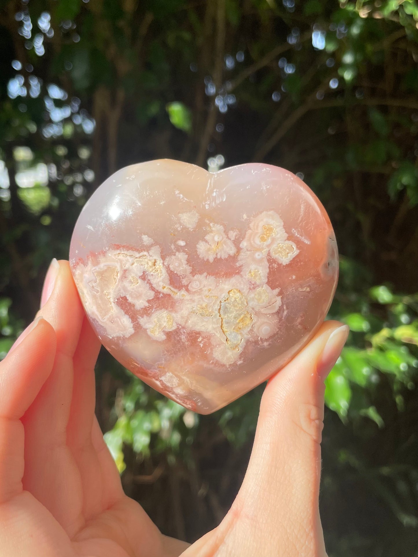 Flower Agate Heart (b)