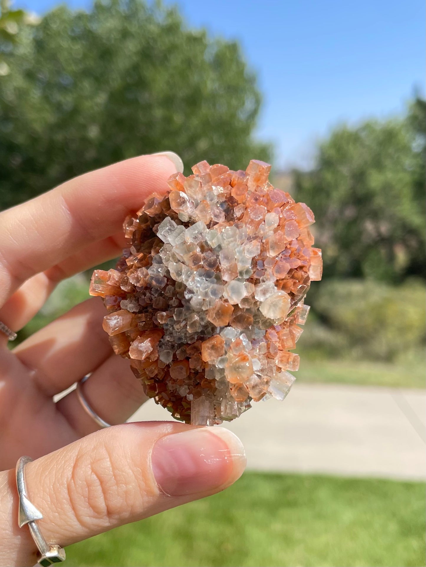 Green & Orange Aragonite ( I )