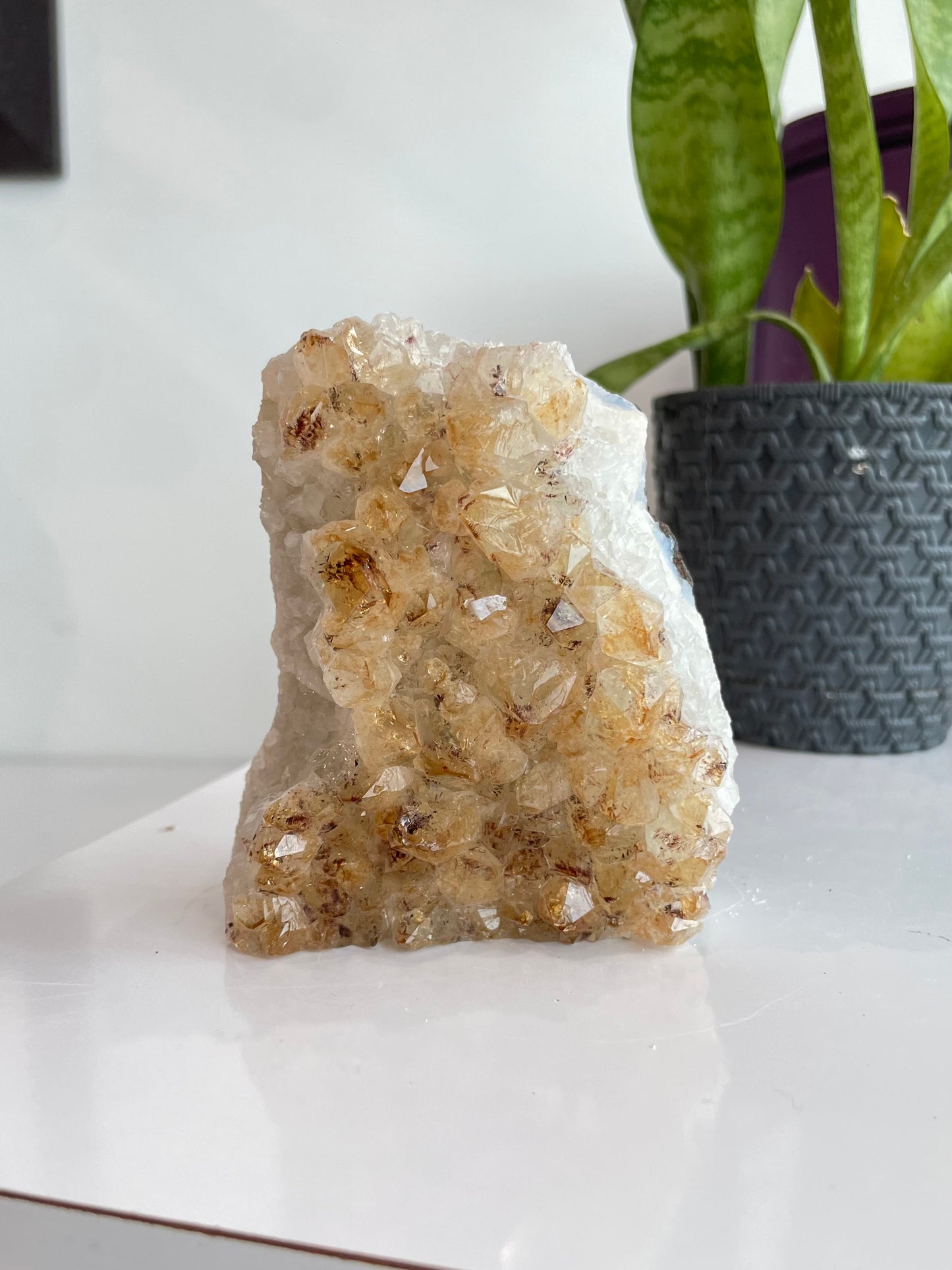 Citrine Cluster ( C )