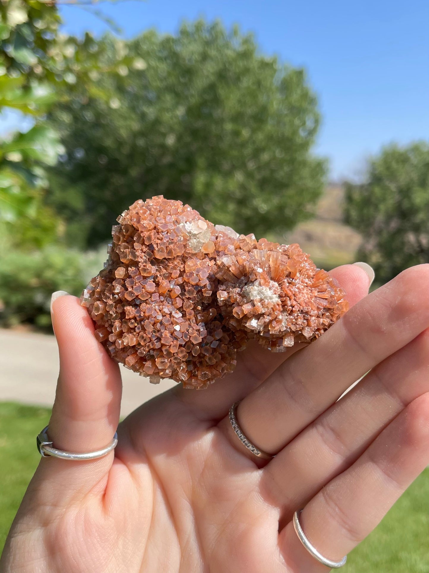 Green & Orange Aragonite ( N )