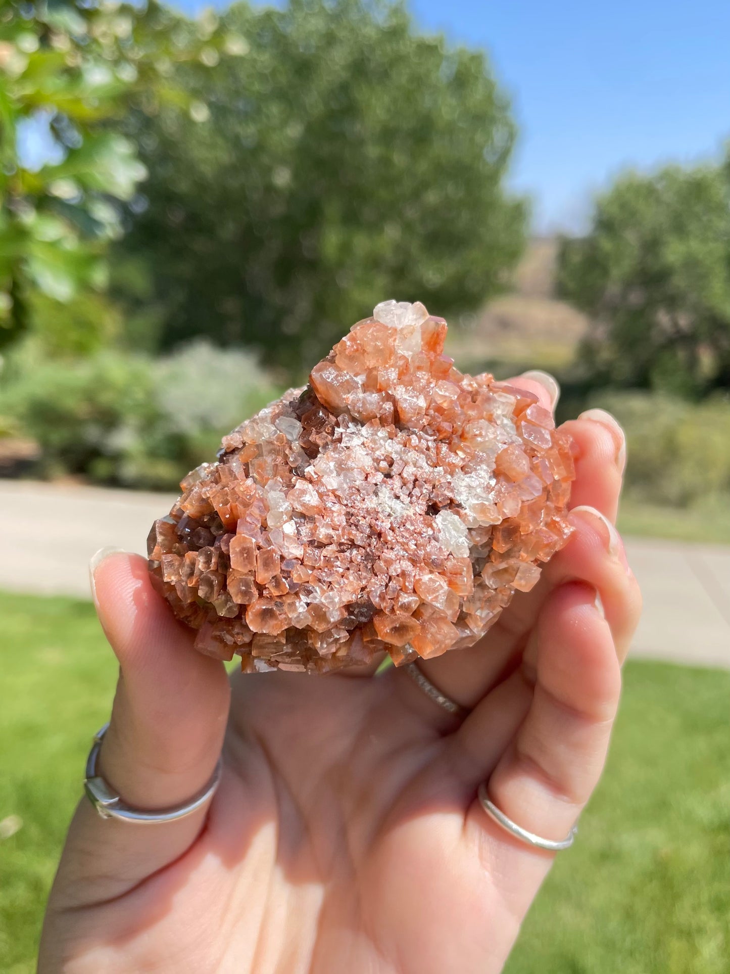 Green & Orange Aragonite ( e )