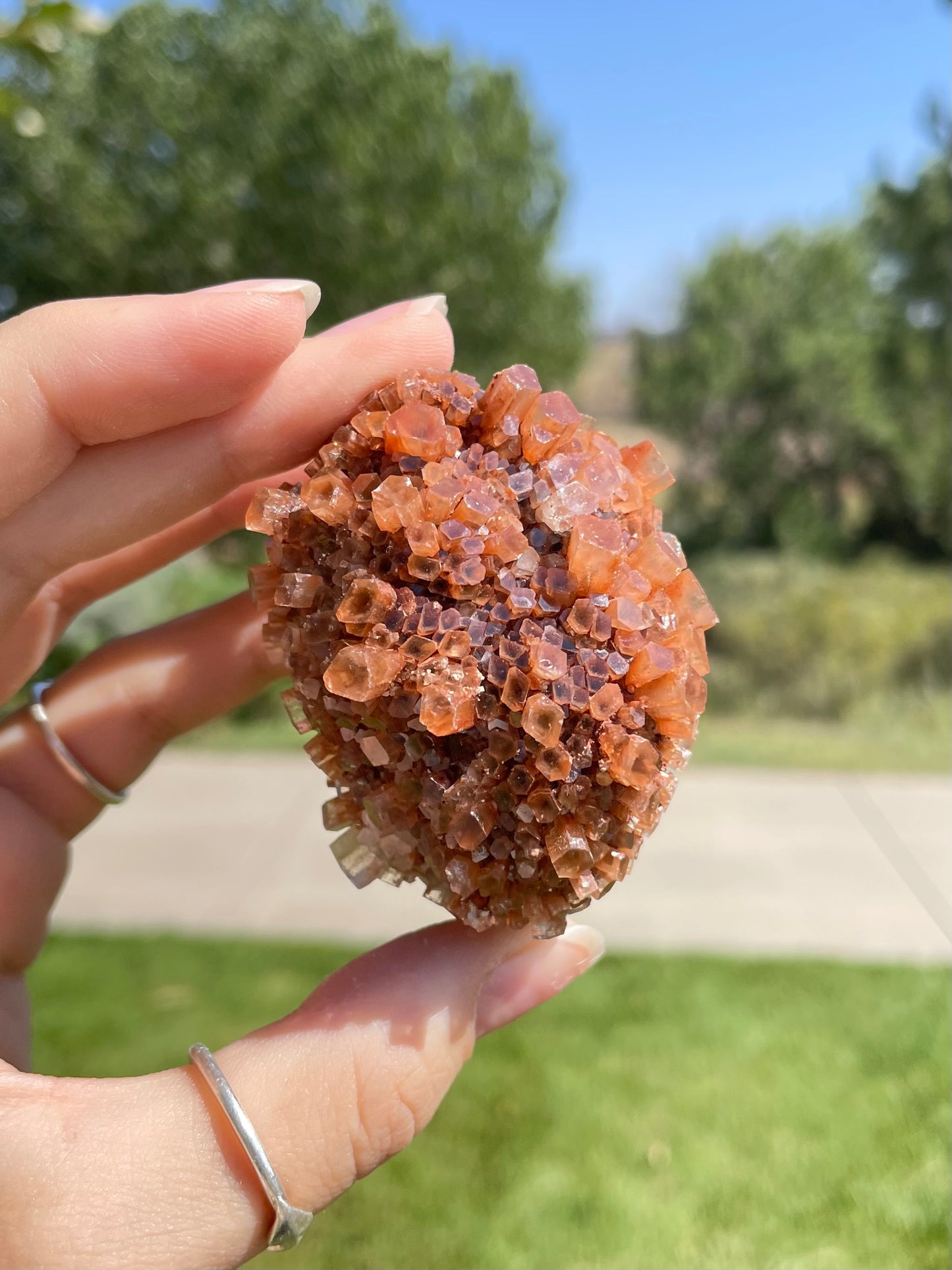 Green & Orange Aragonite ( I )