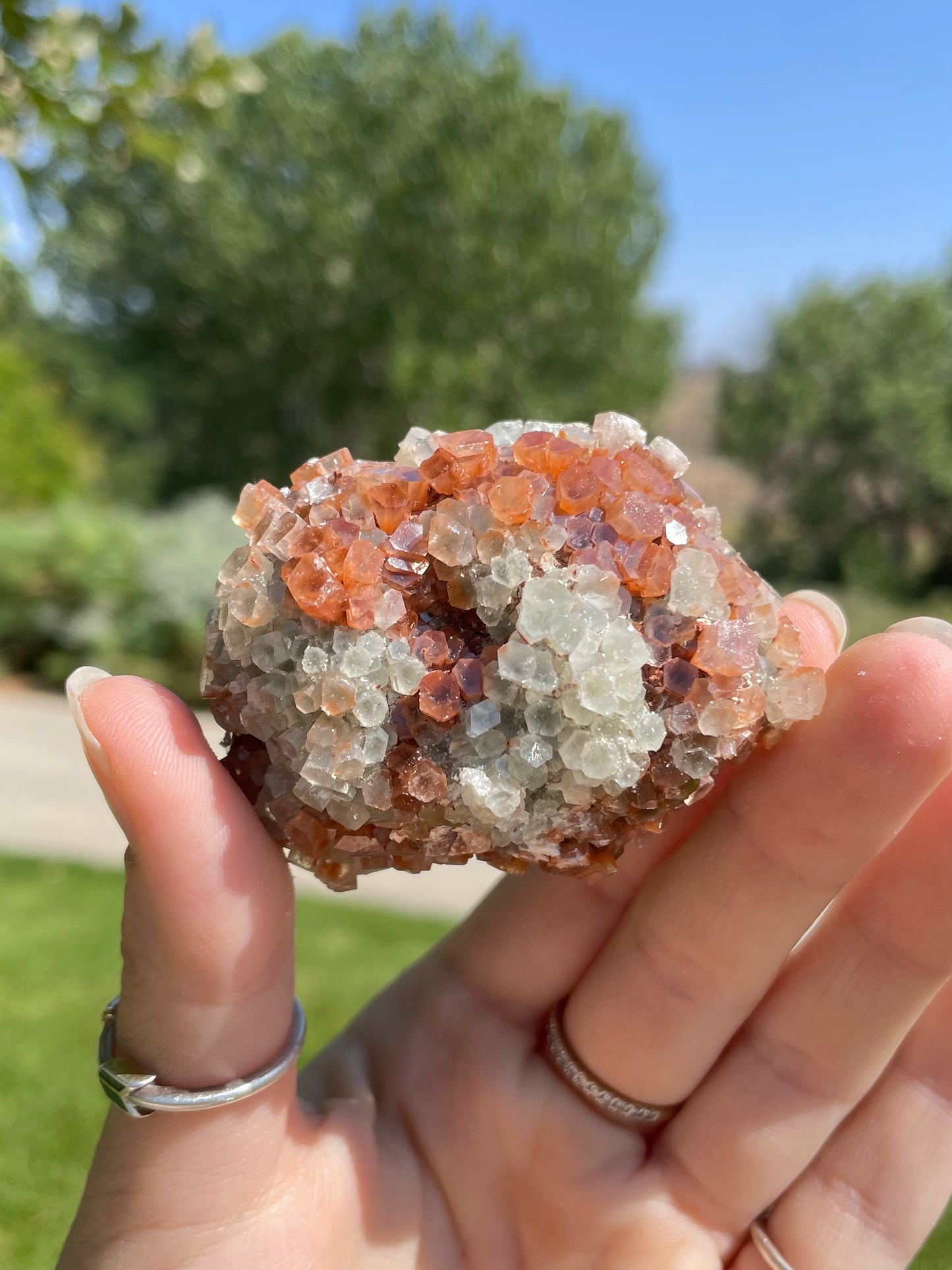 Green & Orange Aragonite ( g )