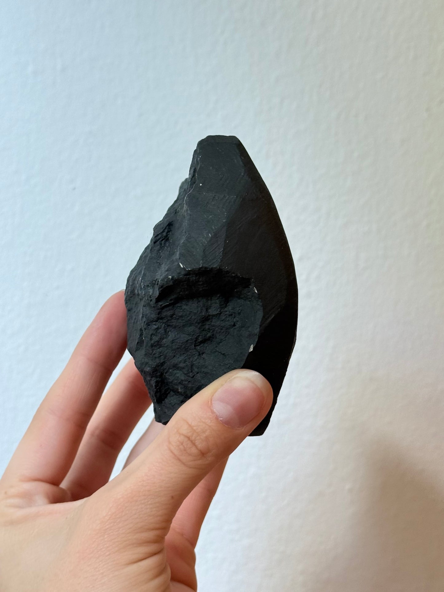 Chrysanthemum Stone (Rizantemum)