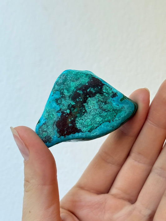 Malachite and chrysocolla ( Polished )