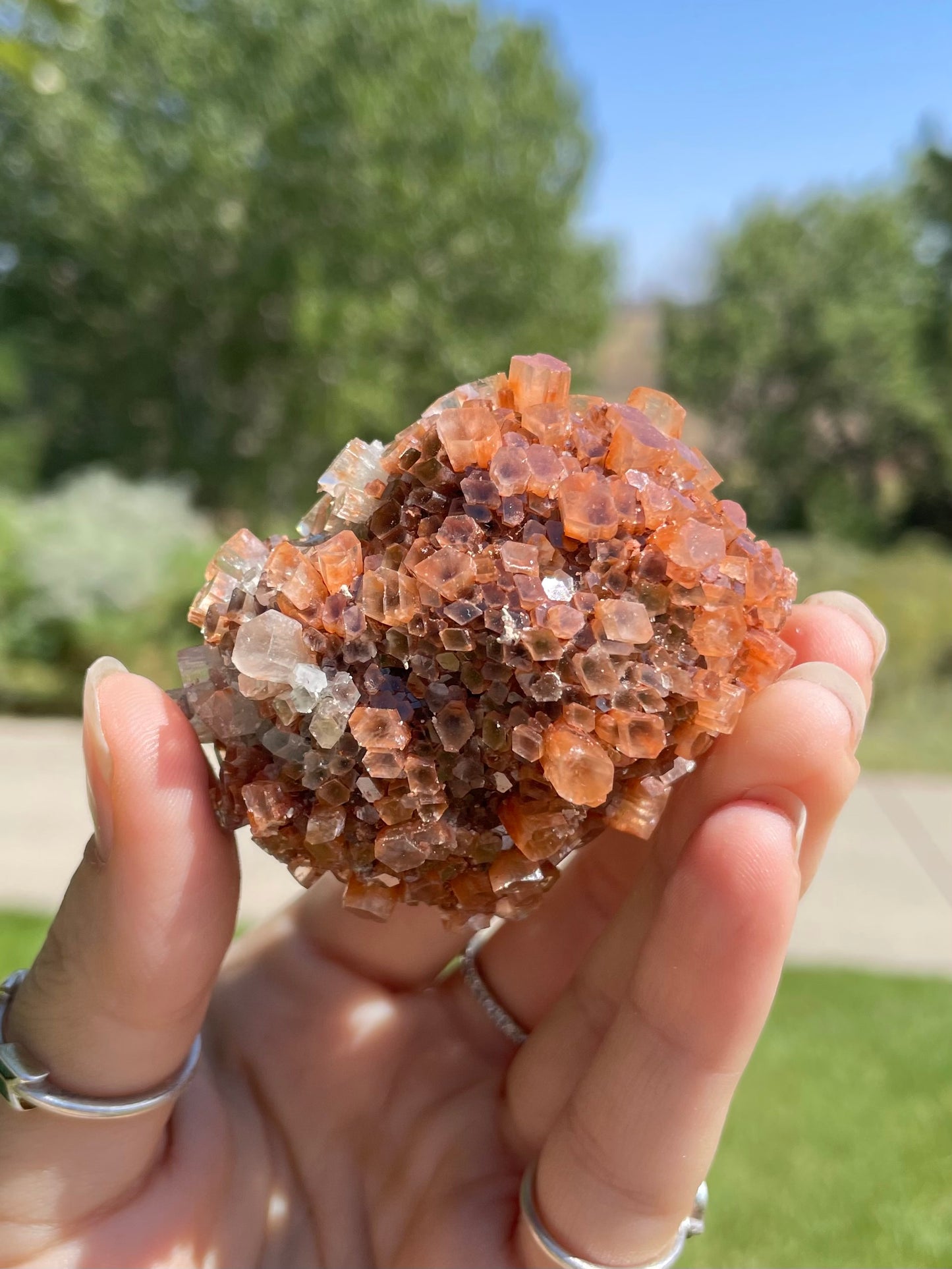 Green & Orange Aragonite ( I )