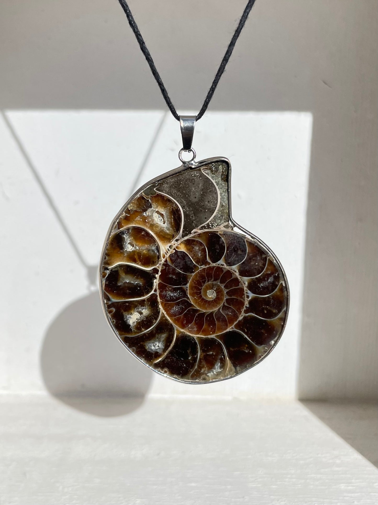 Ammonite Pendant ( A )