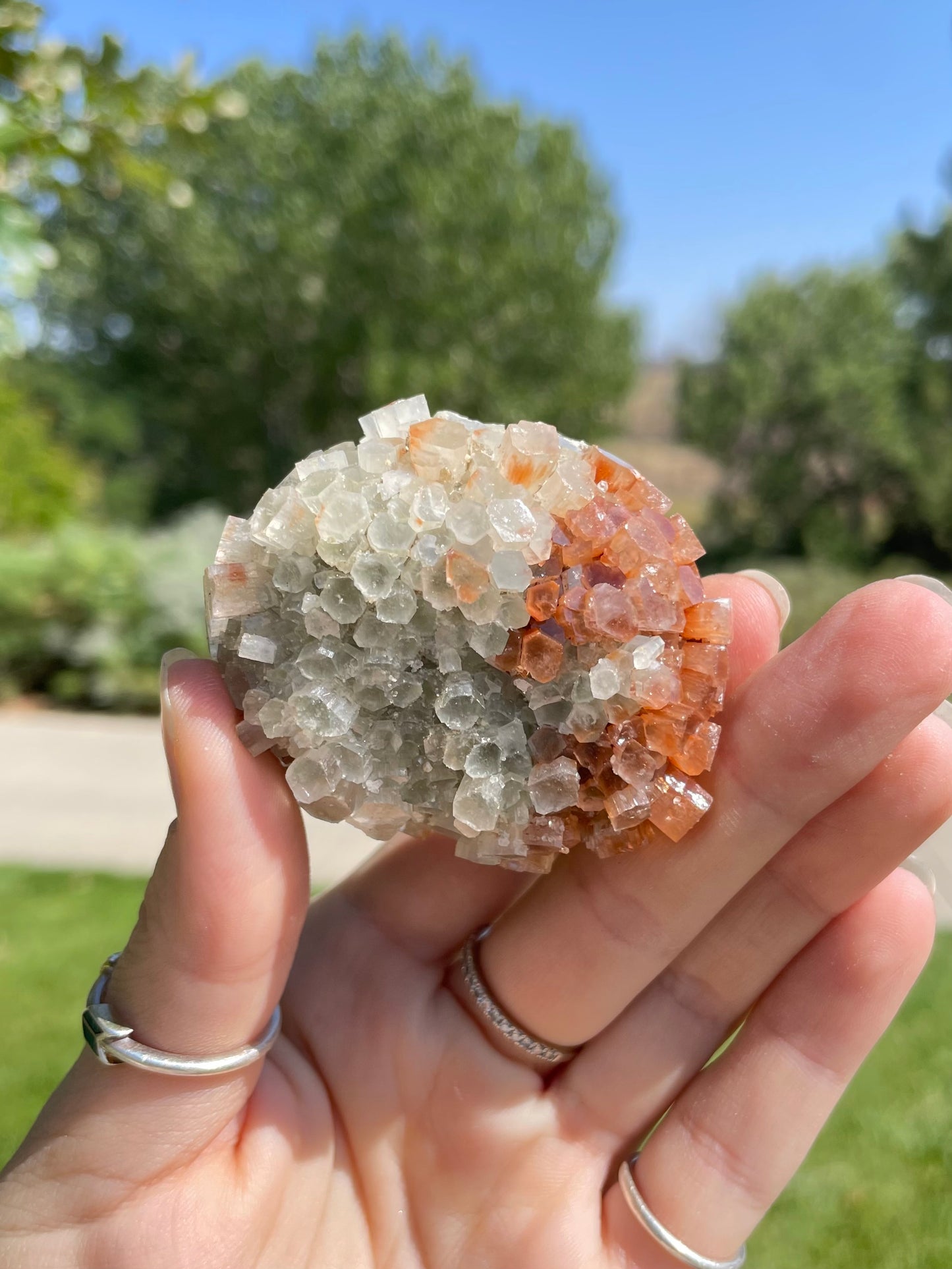 Green & Orange Aragonite ( f )