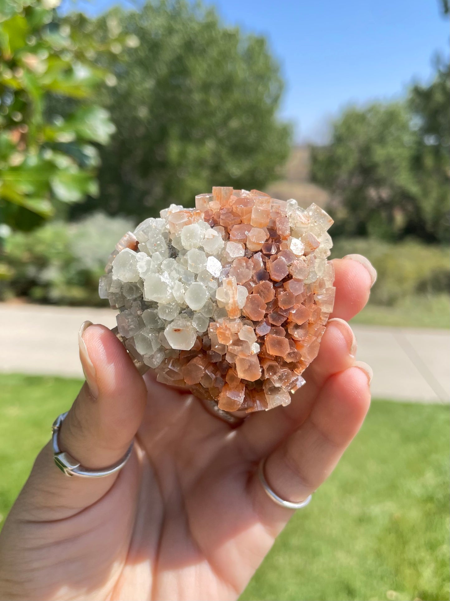 Green & Orange Aragonite ( h )