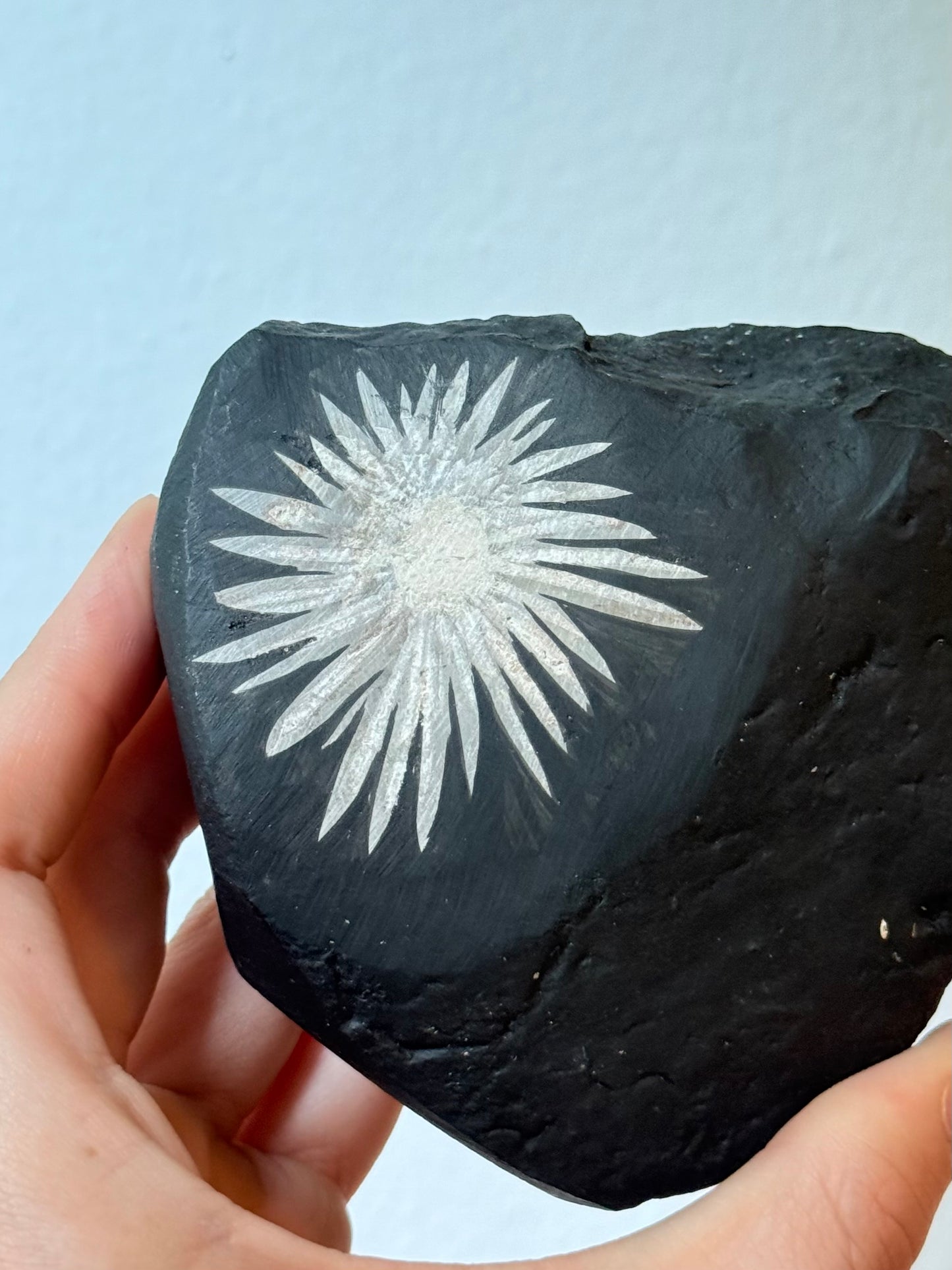 Chrysanthemum Stone (Rizantemum)