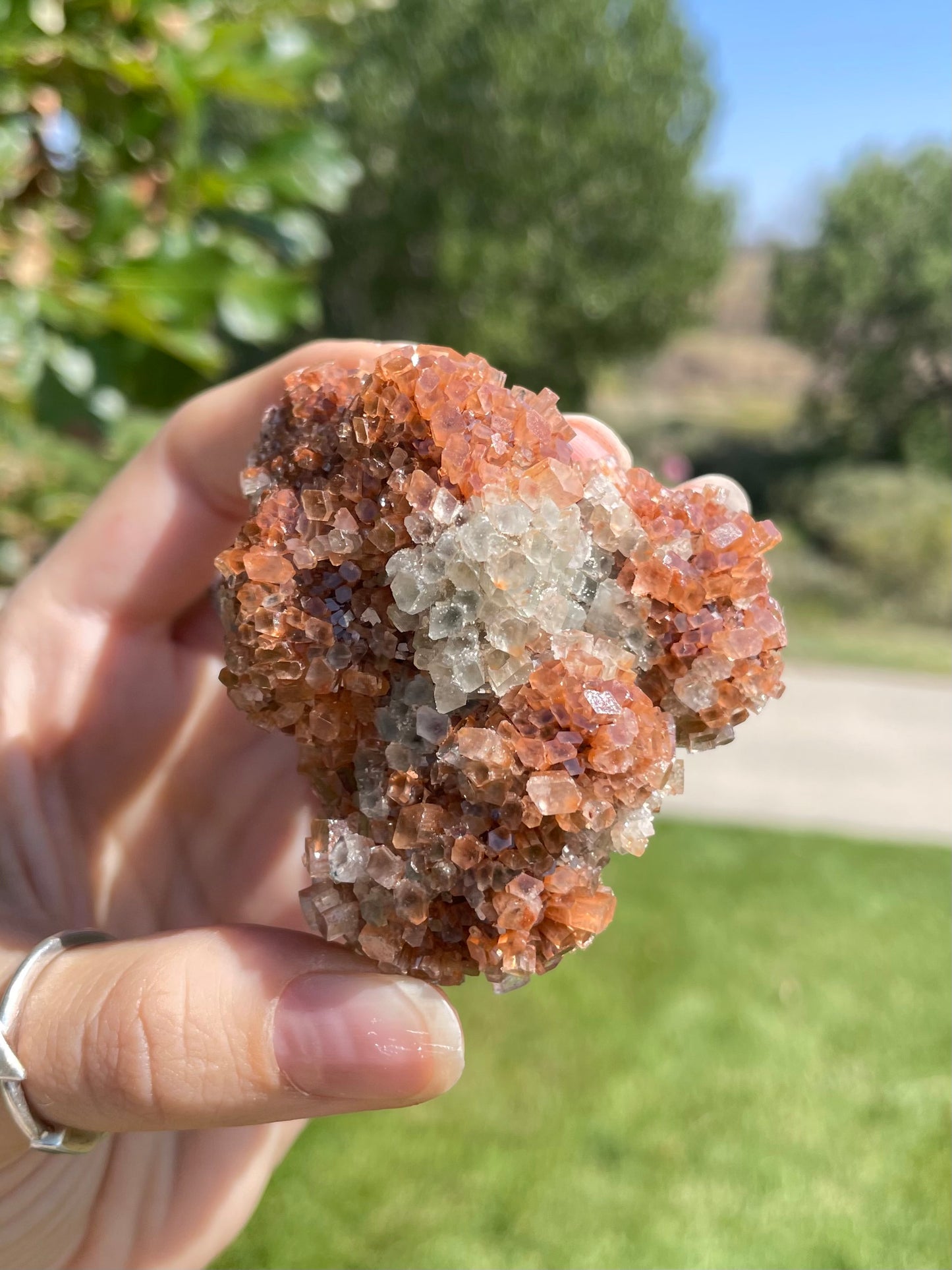 Green & Orange Aragonite ( P )