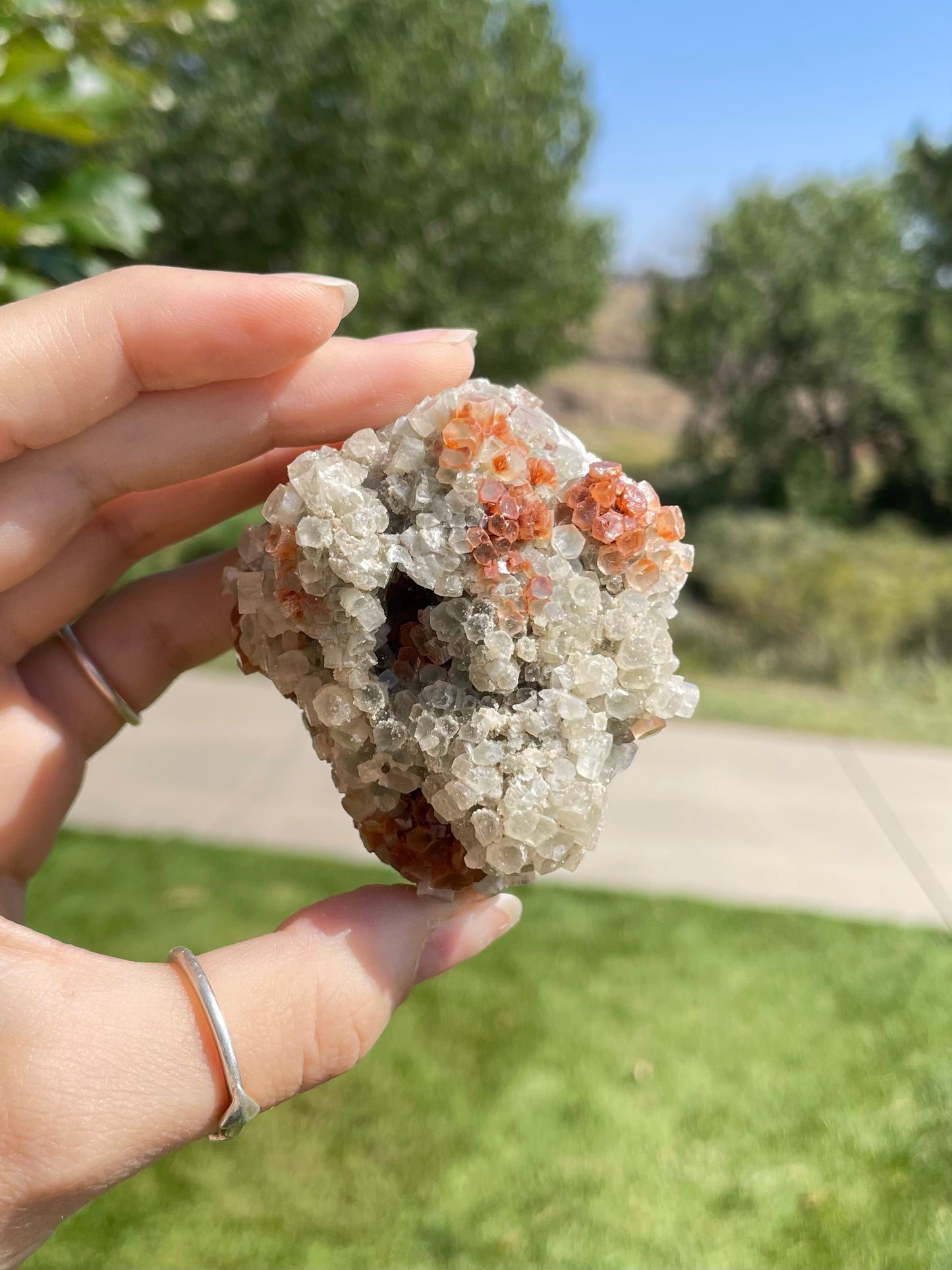 Green & Orange Aragonite ( O )