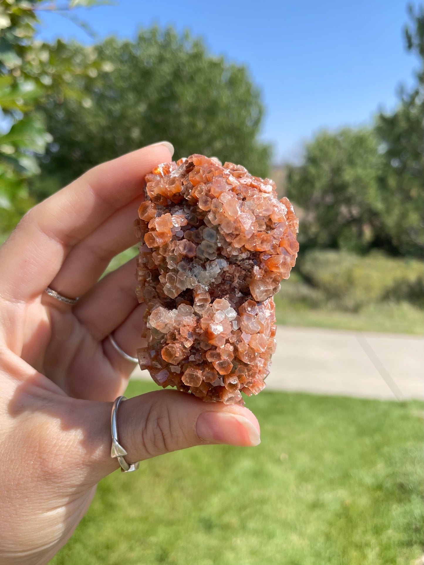 Green & Orange Aragonite ( d )