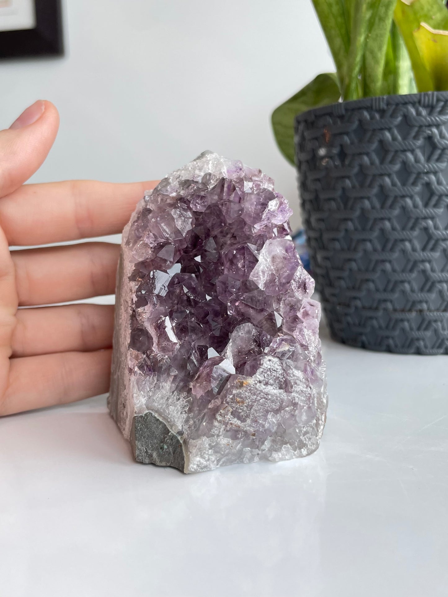 Amethyst Cluster ( B )