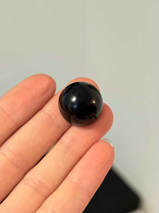 Ombliguero de obsidiana