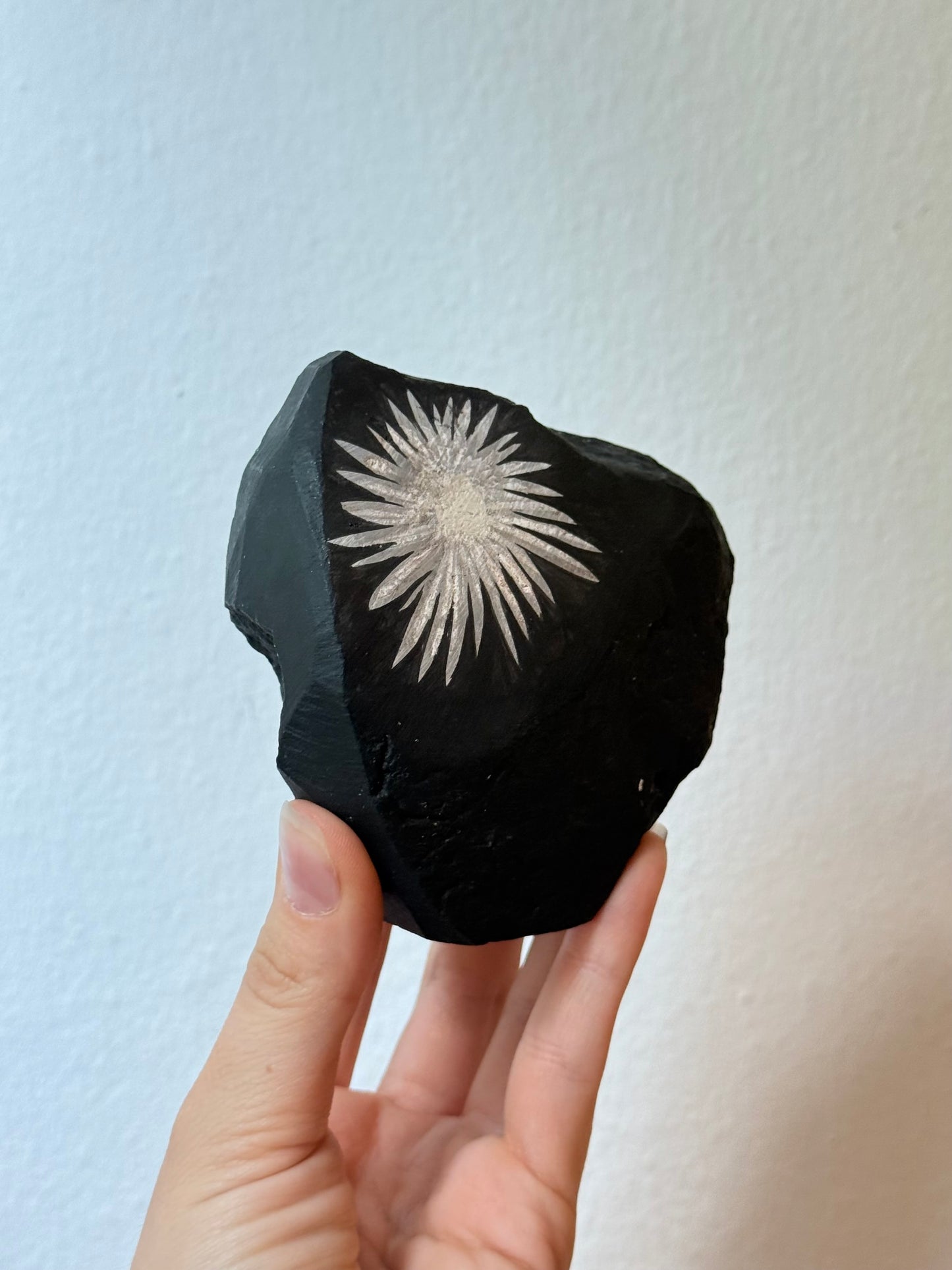 Chrysanthemum Stone (Rizantemum)