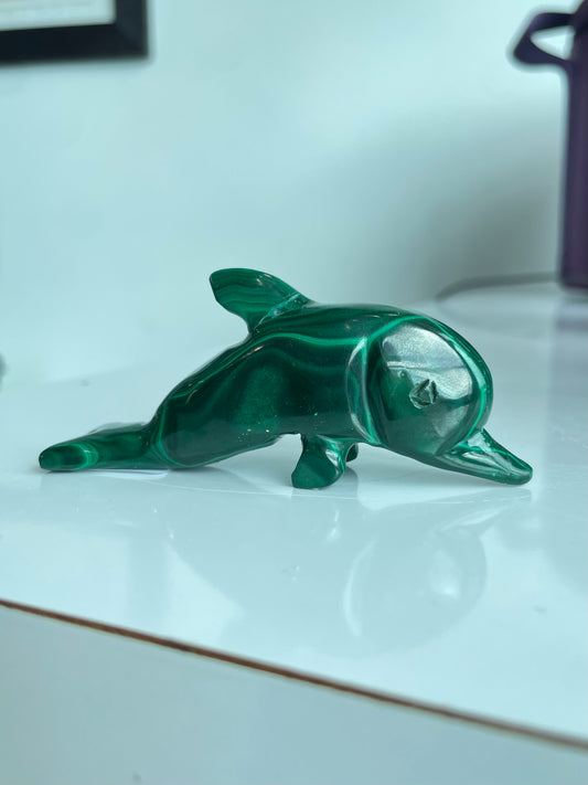 Malachite Dolphin