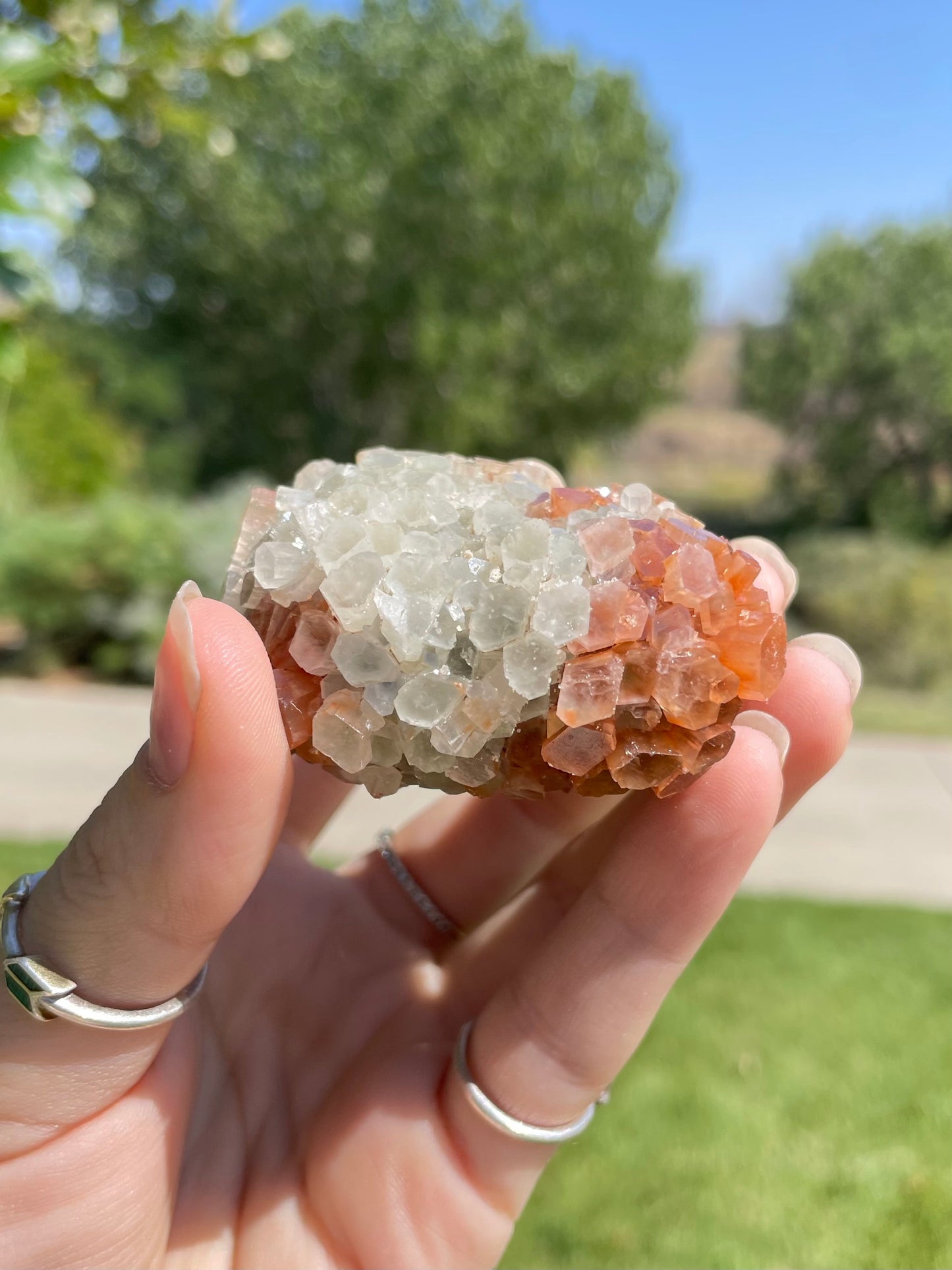 Green & Orange Aragonite ( f )