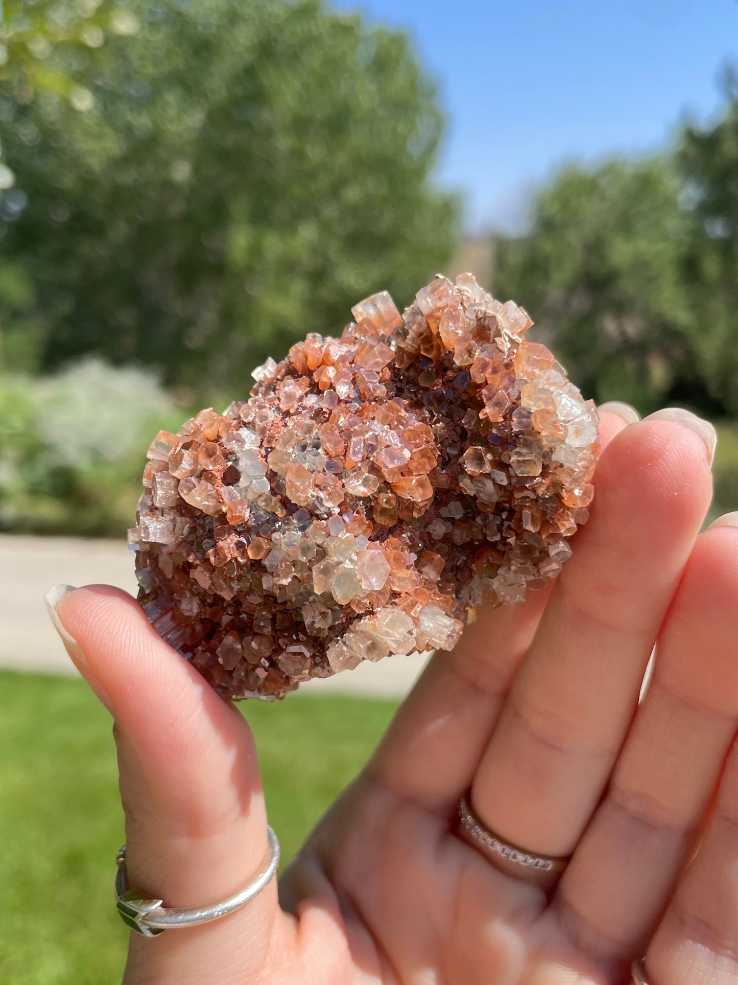 Green & Orange Aragonite ( K )