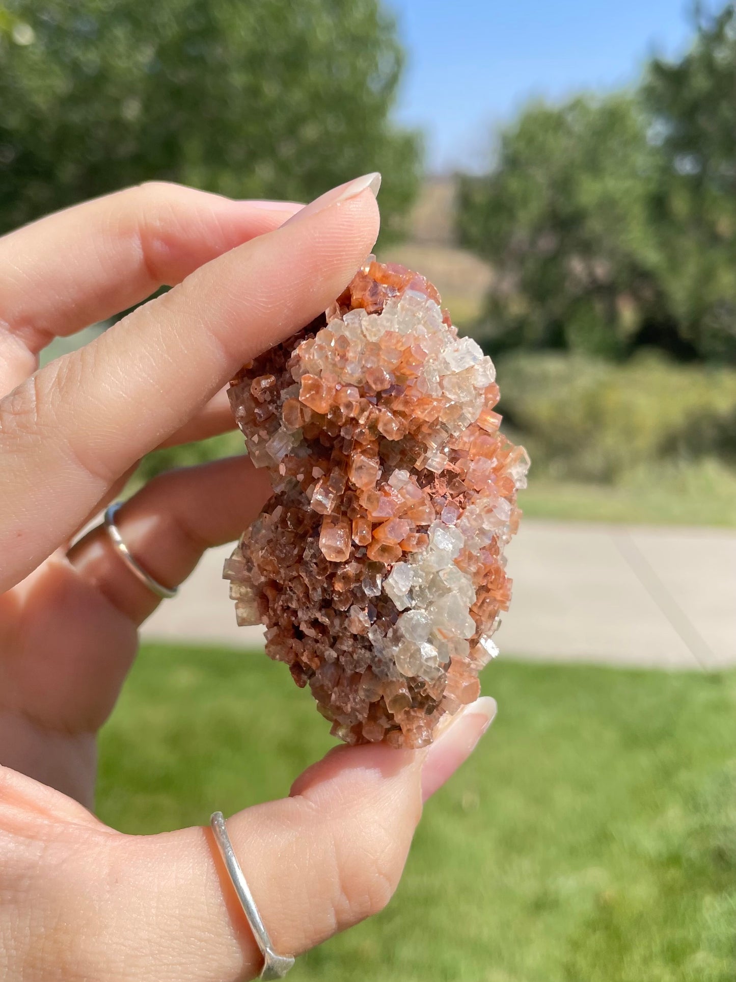 Green & Orange Aragonite ( K )