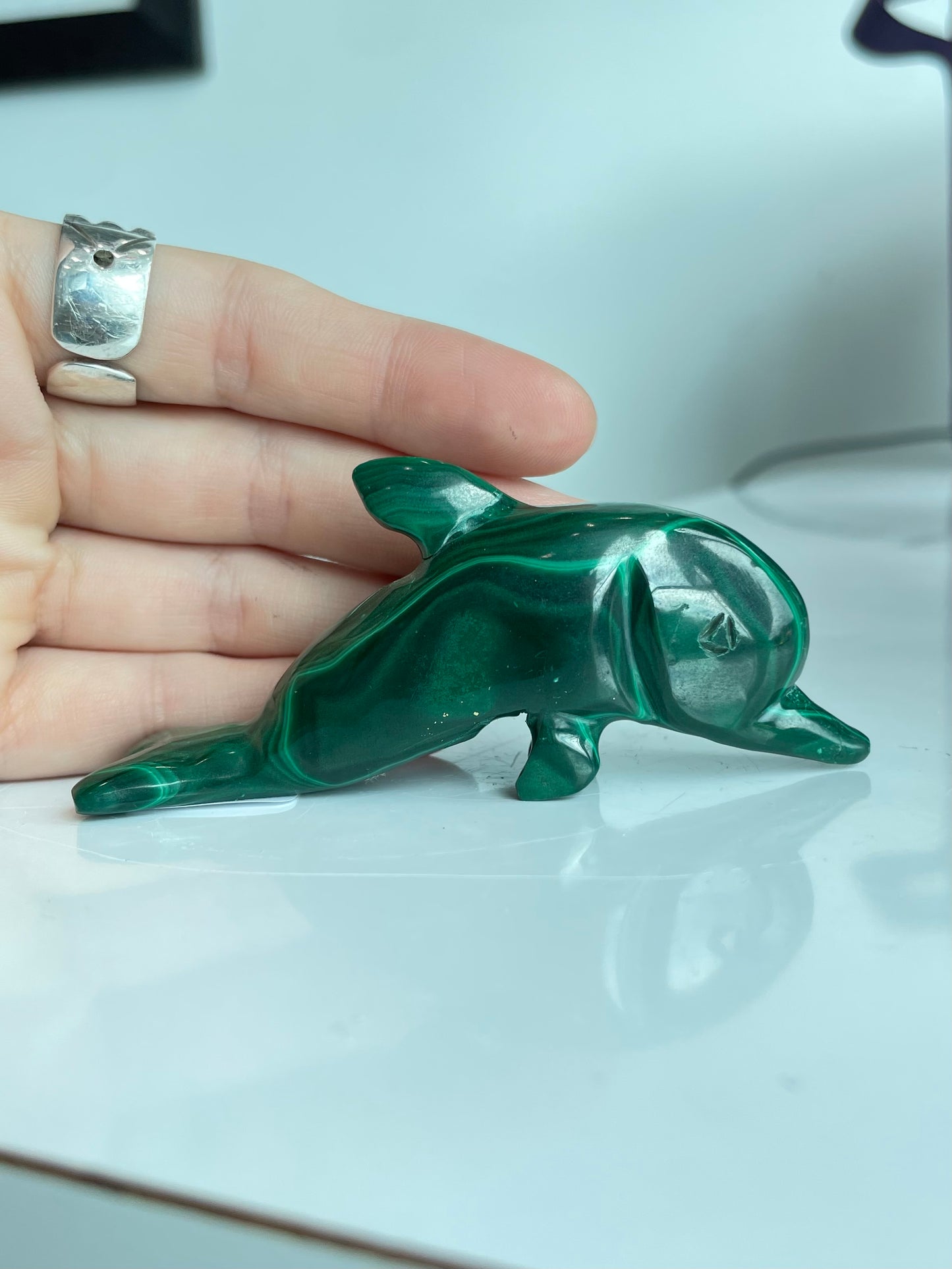 Malachite Dolphin