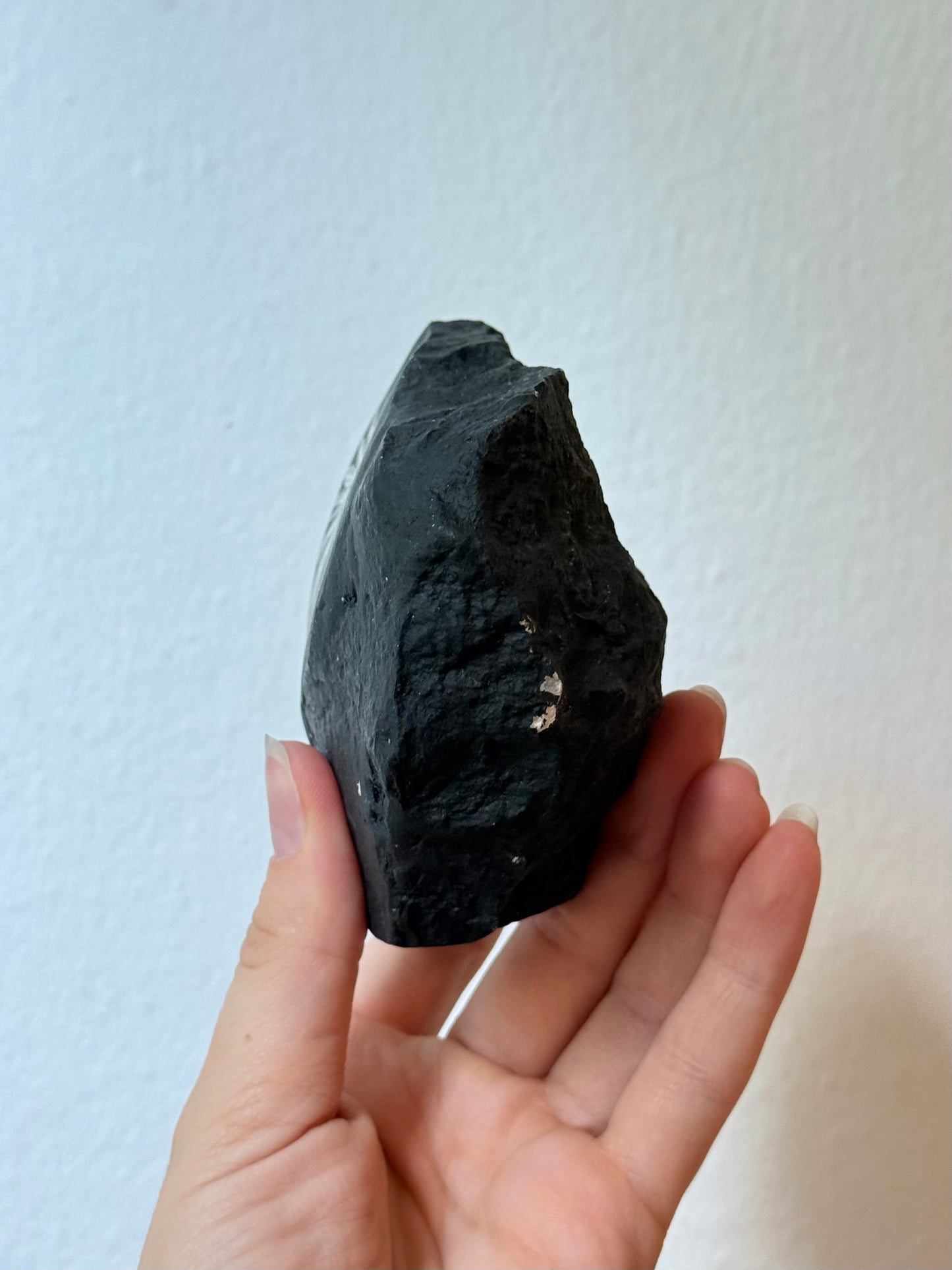 Chrysanthemum Stone (Rizantemum)