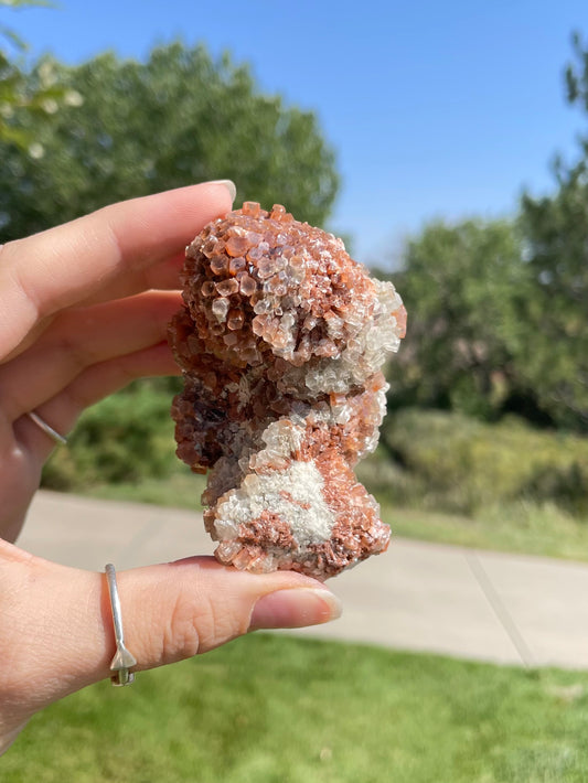 Green & Orange Aragonite ( M )