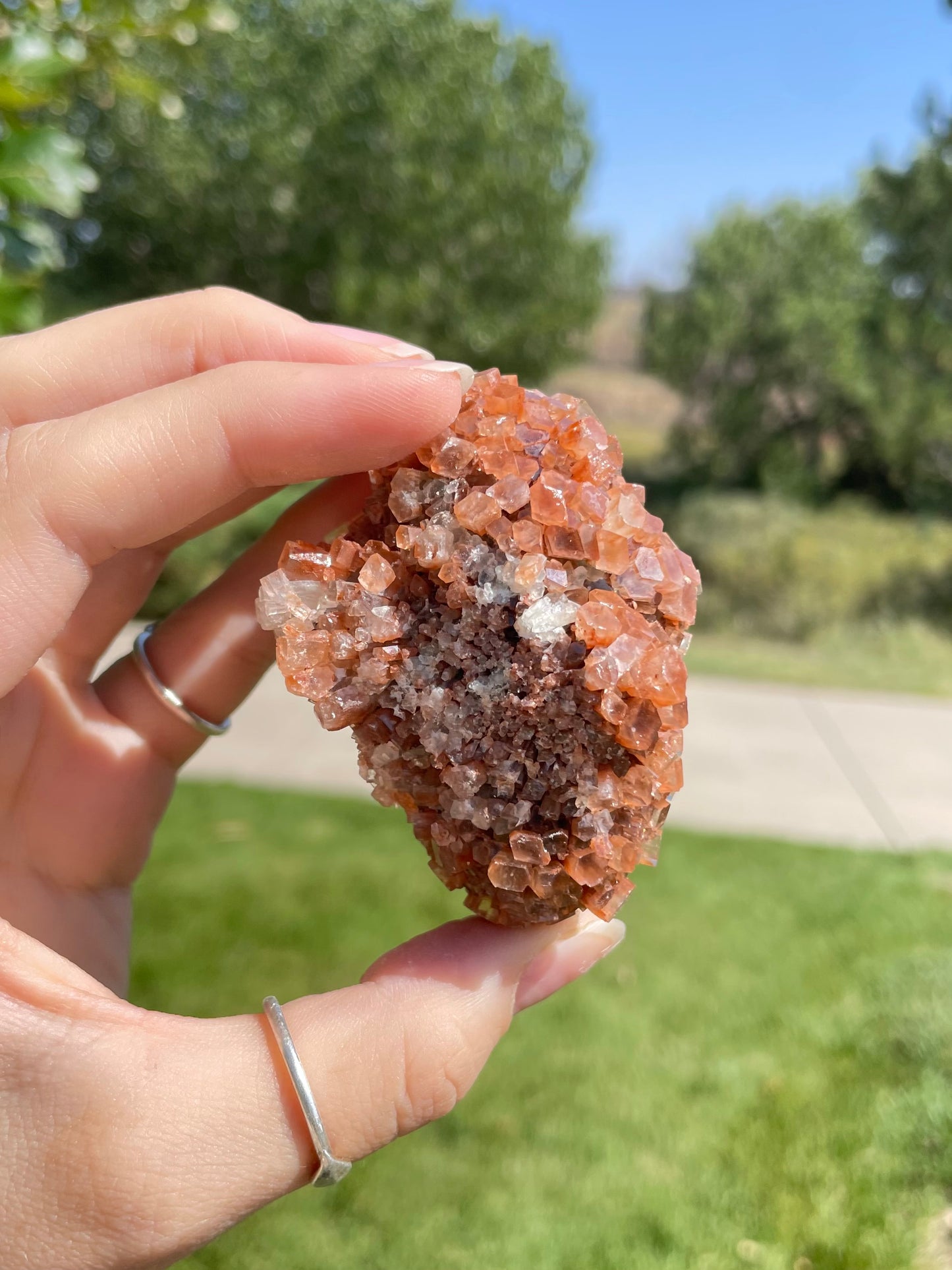 Green & Orange Aragonite ( e )