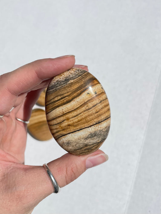 Picture Jasper Palm Stone