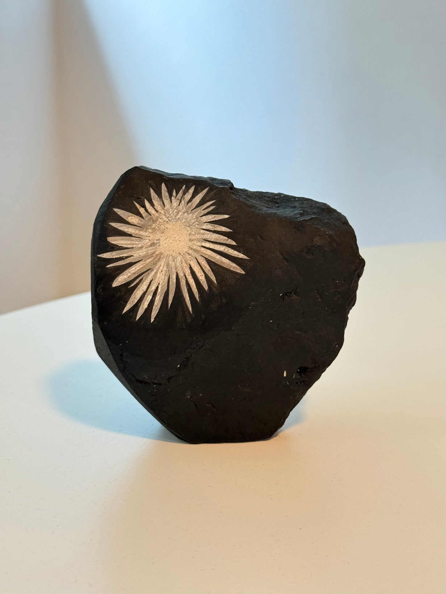 Chrysanthemum Stone (Rizantemum)