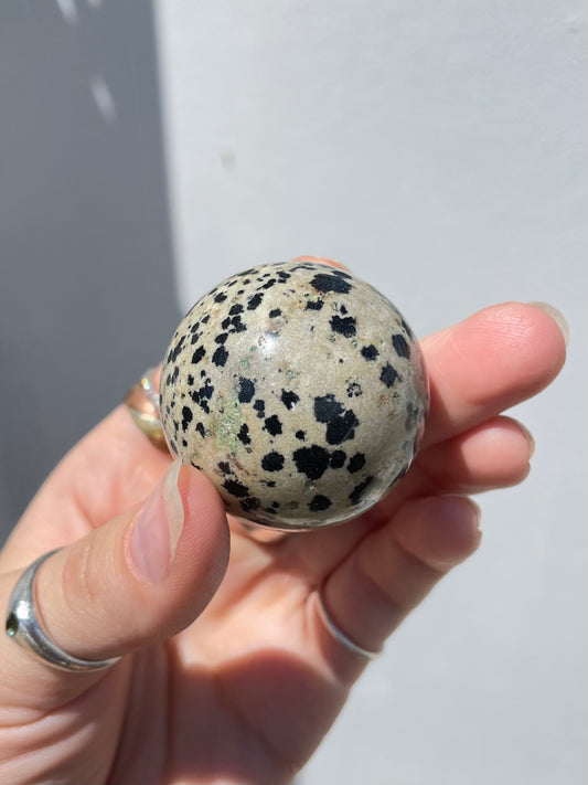 Dalmatian Jasper