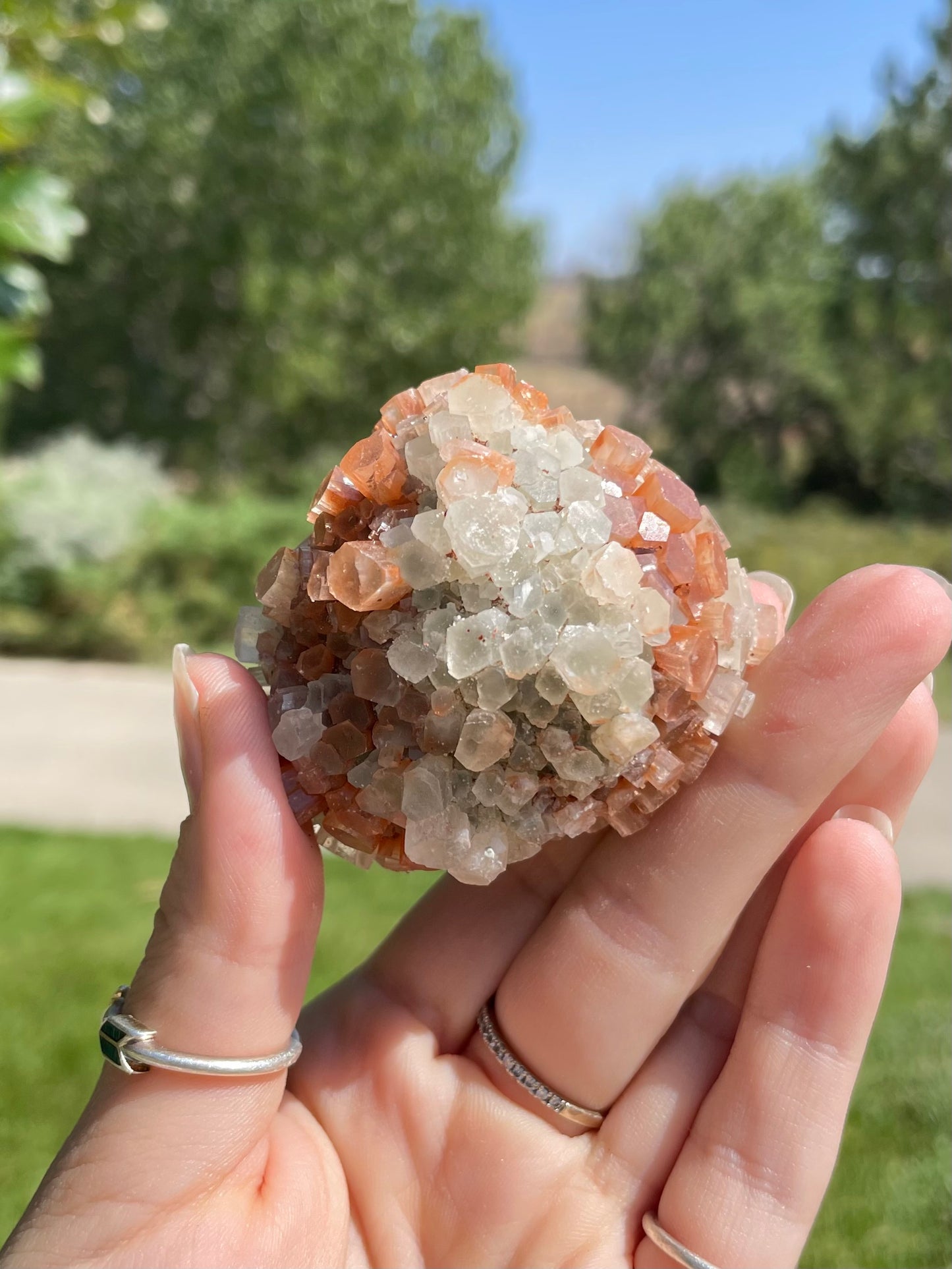 Green & Orange Aragonite ( h )