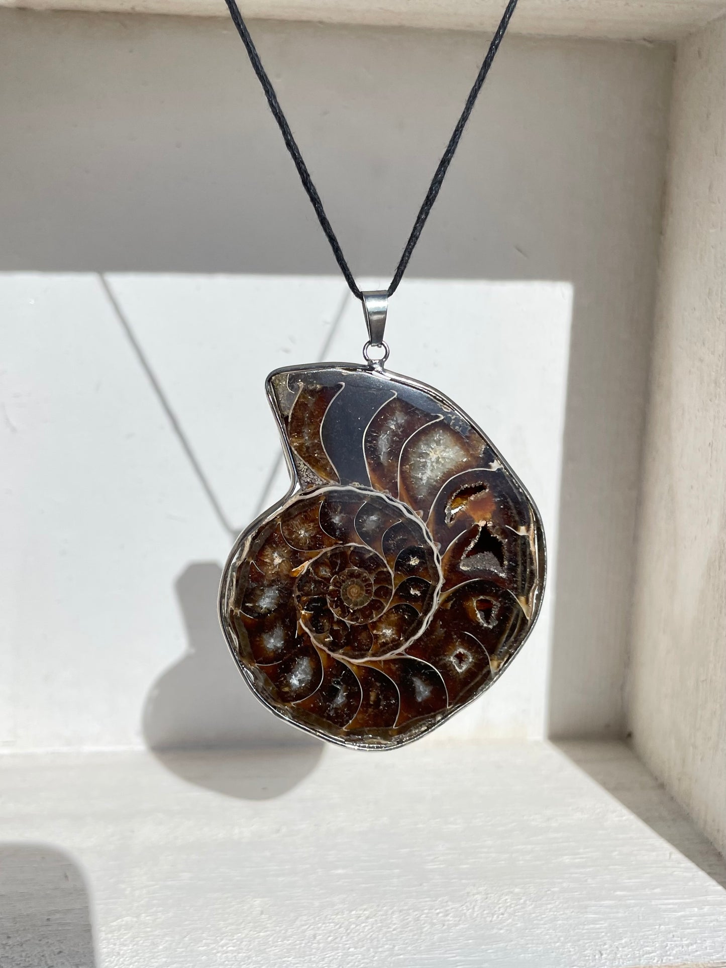 Ammonite Pendant ( D )