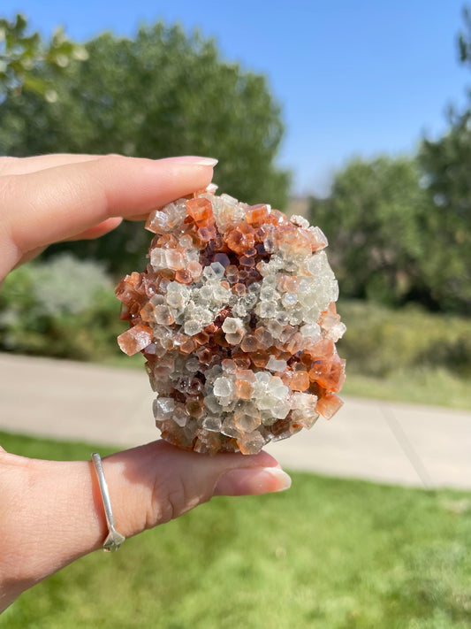 Green & Orange Aragonite ( g )