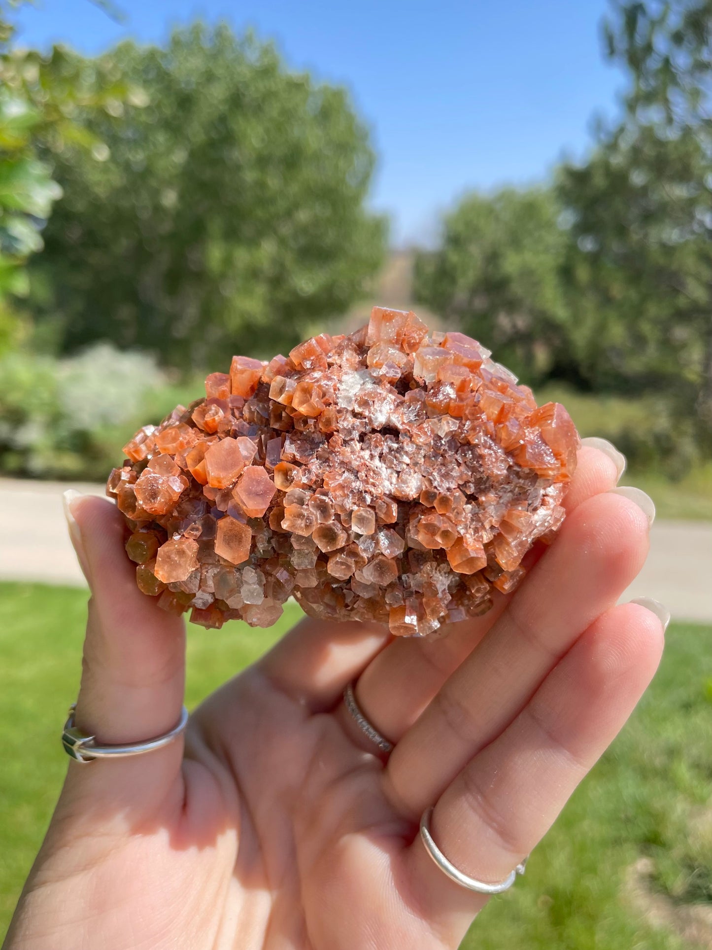 Green & Orange Aragonite ( d )