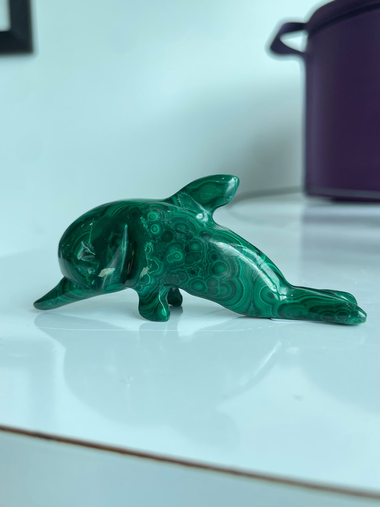 Malachite Dolphin