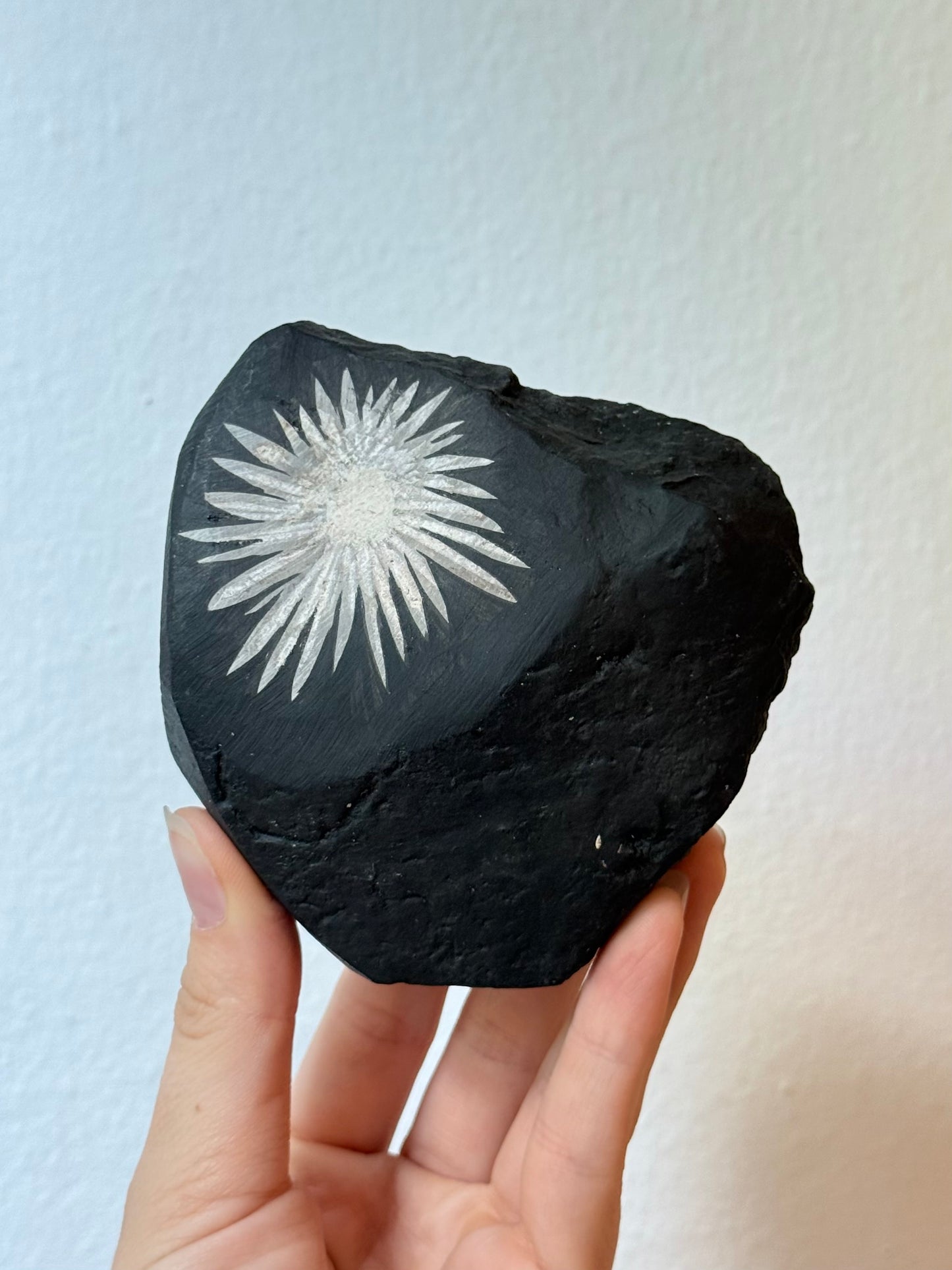 Chrysanthemum Stone (Rizantemum)