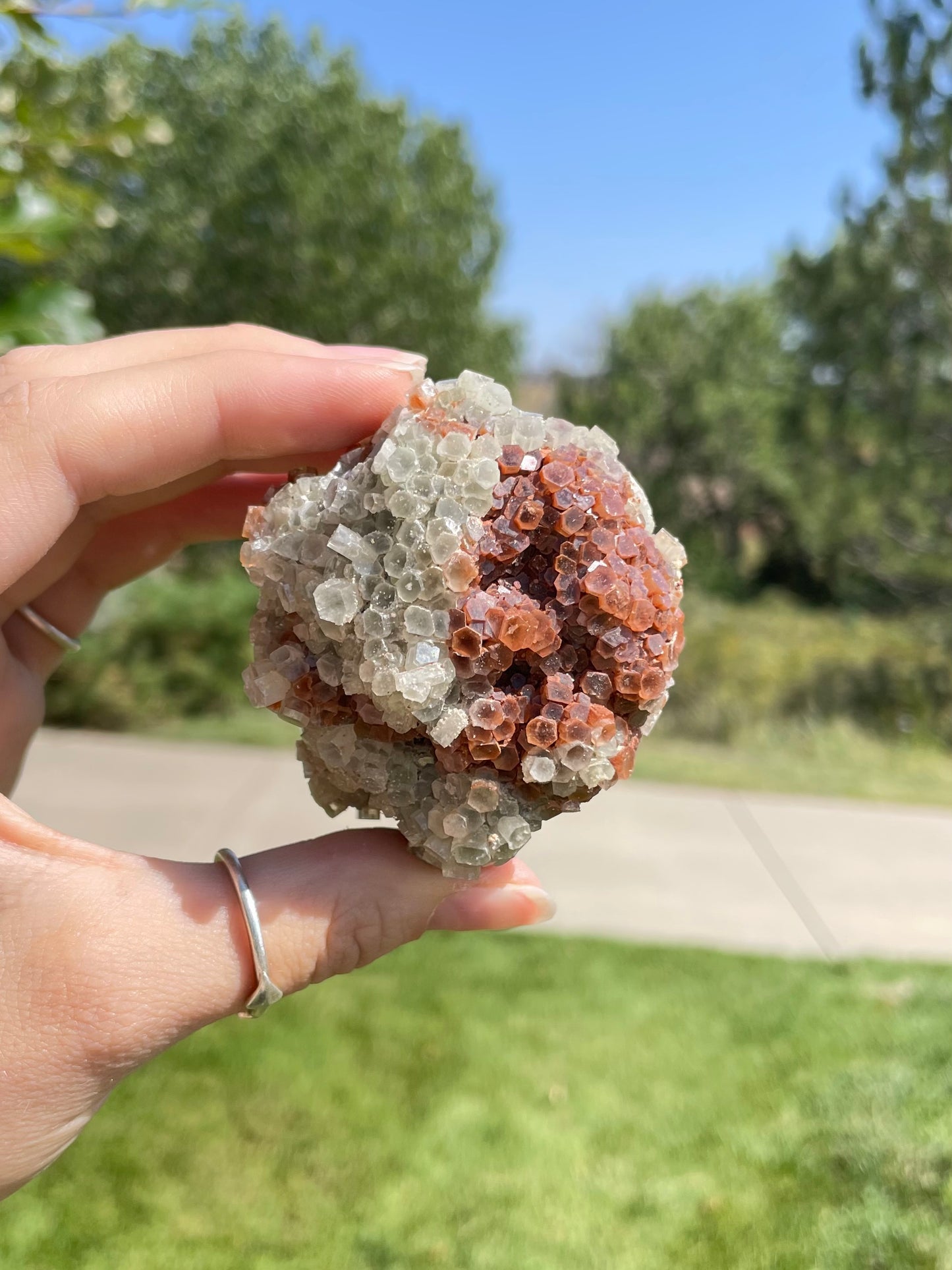 Green & Orange Aragonite ( O )