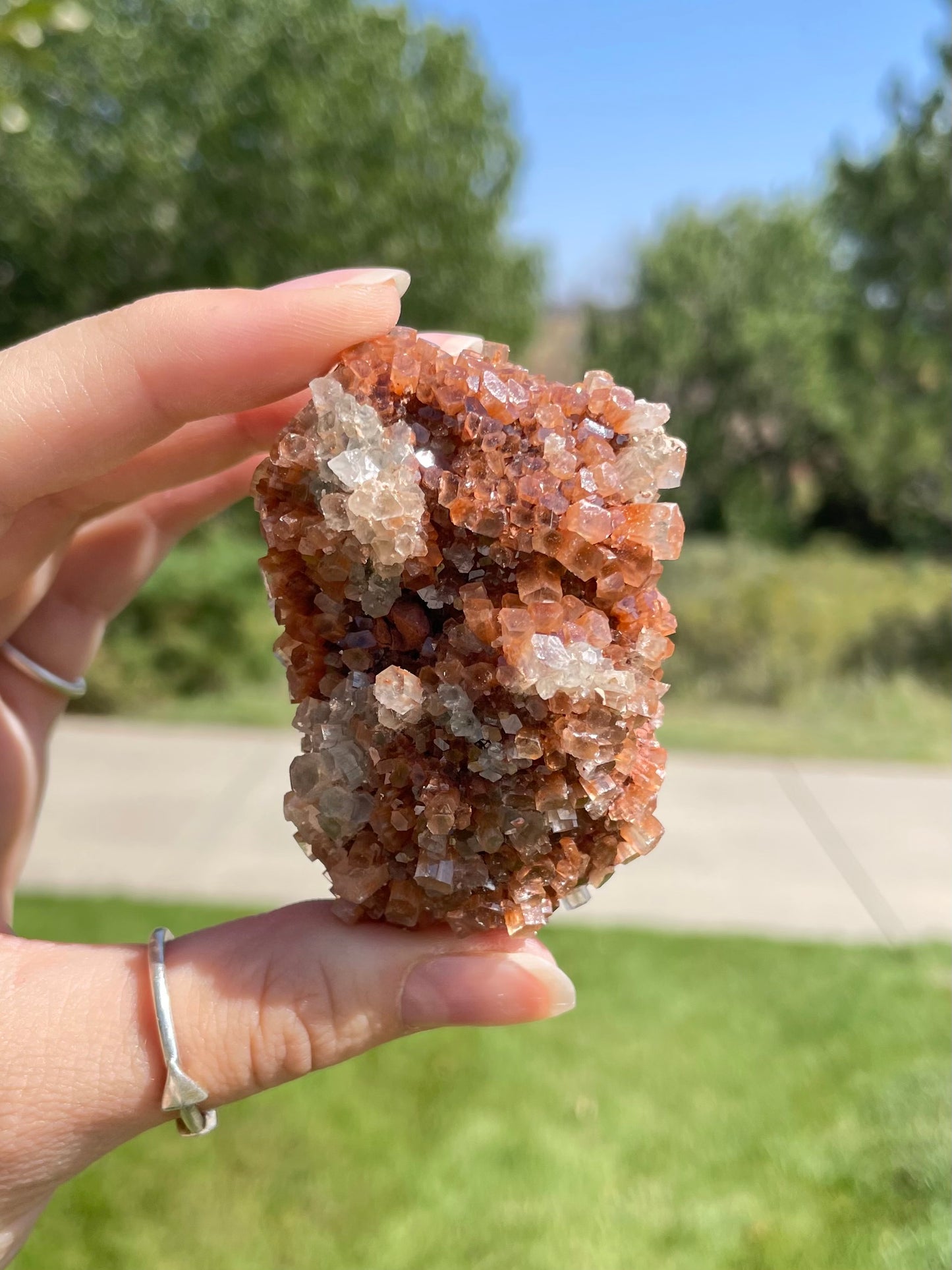 Green & Orange Aragonite ( K )