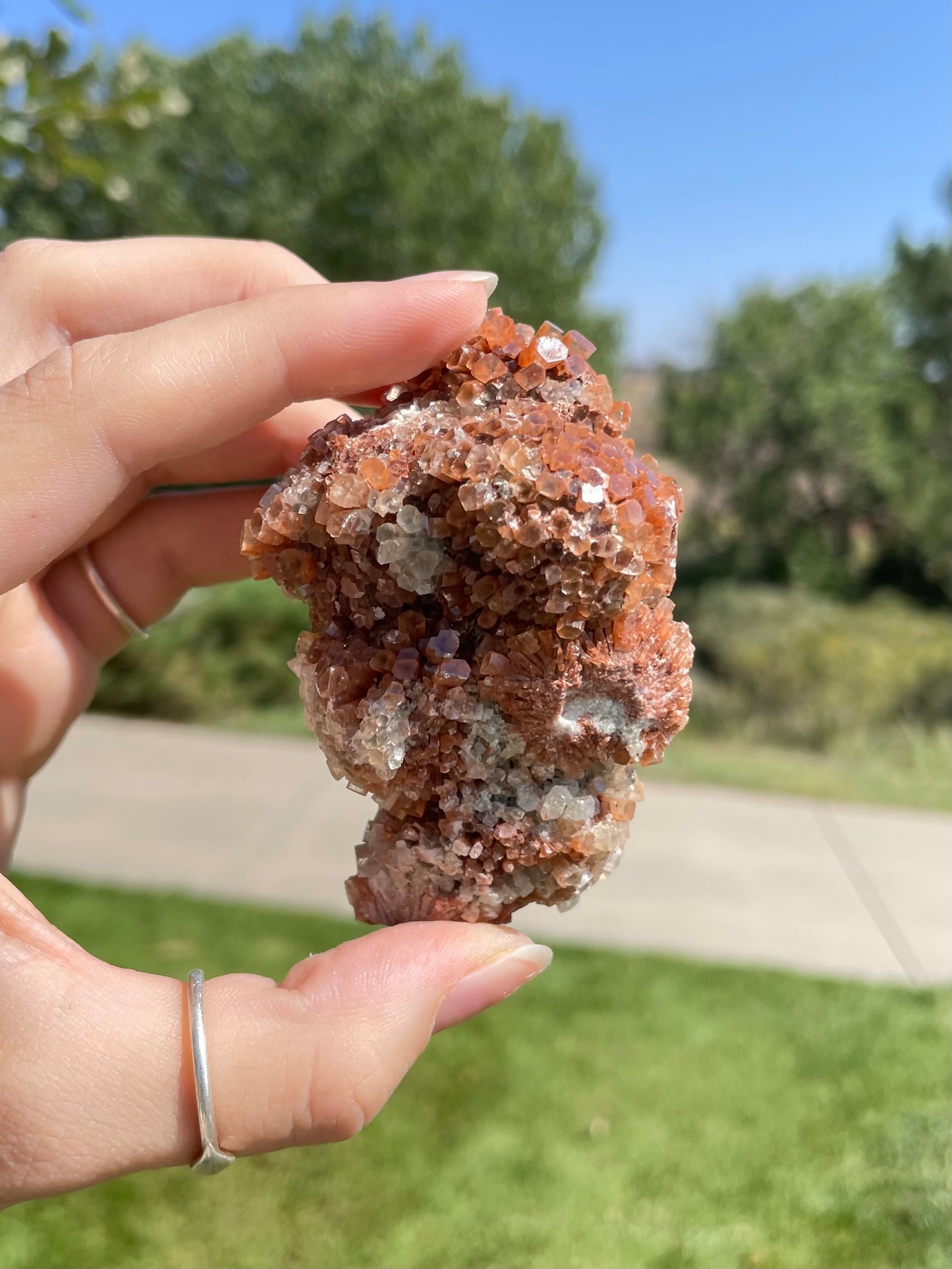 Green & Orange Aragonite ( M )