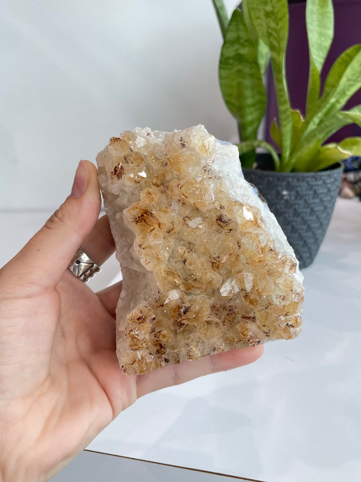 Citrine Cluster ( C )