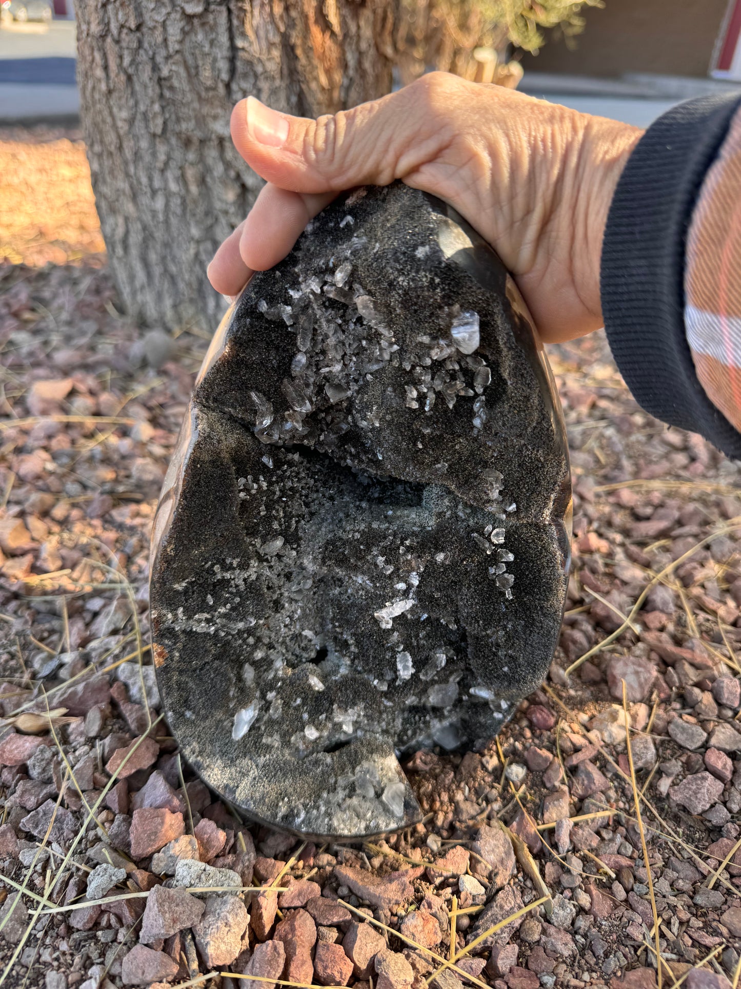 Septarian with clear Quartz Inclusions