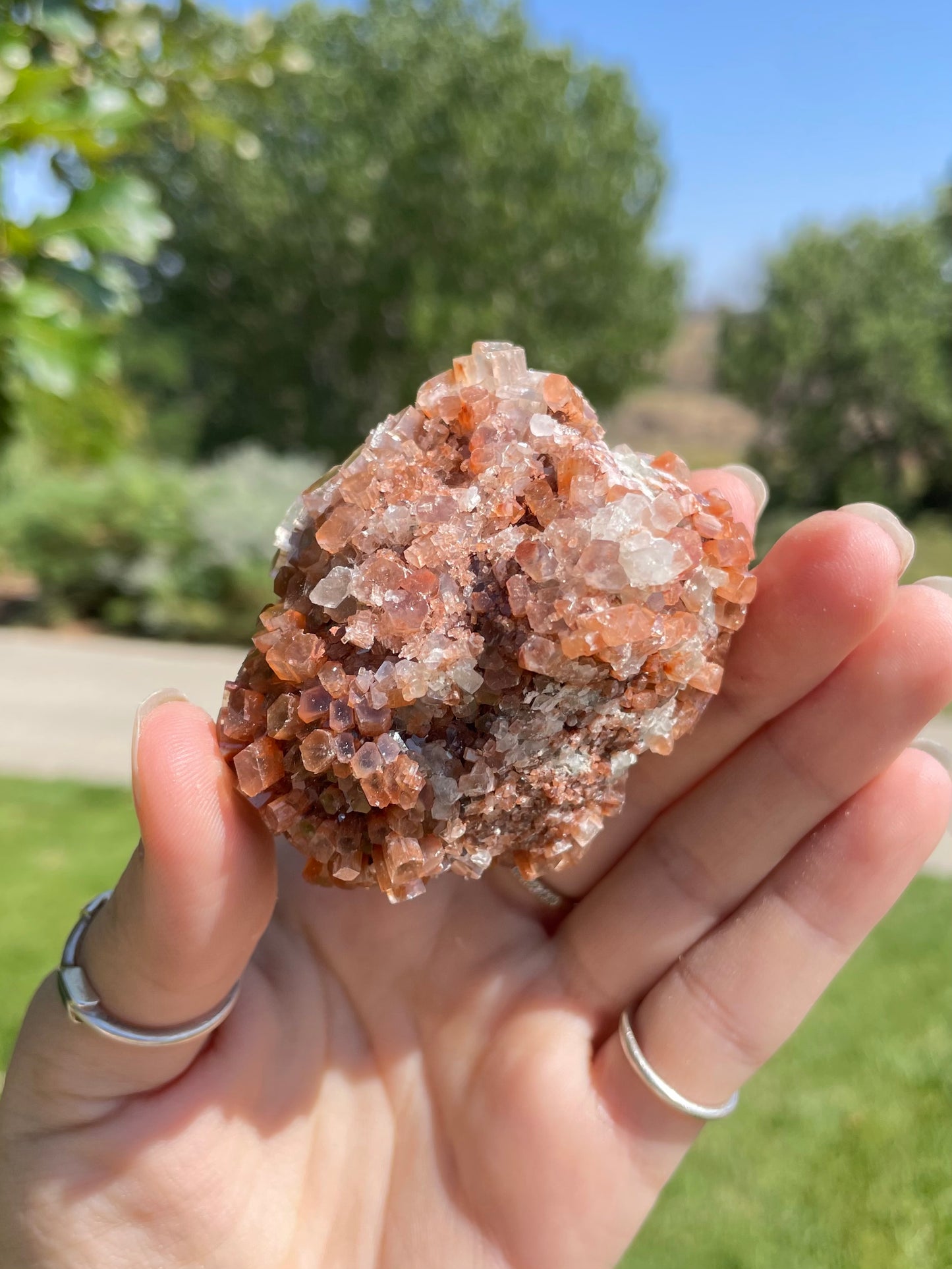 Green & Orange Aragonite ( e )