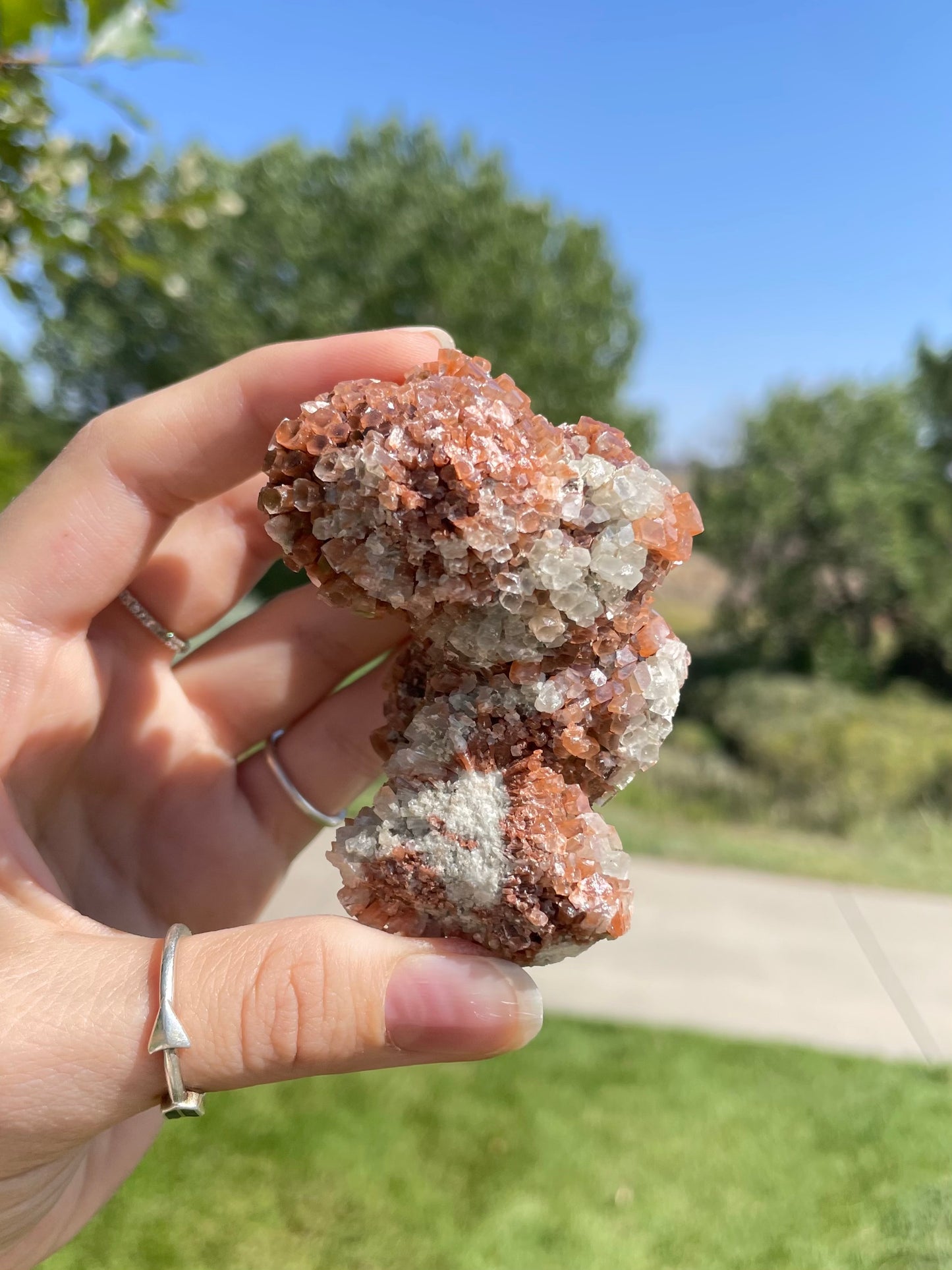 Green & Orange Aragonite ( M )