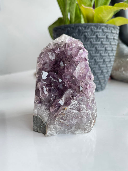 Amethyst Cluster ( B )