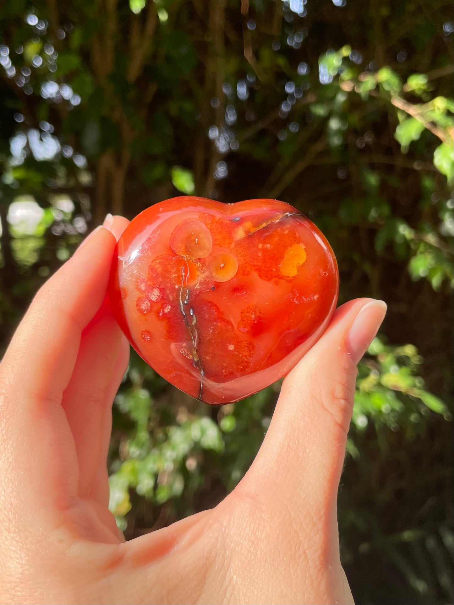 Carnelian Heart (f)