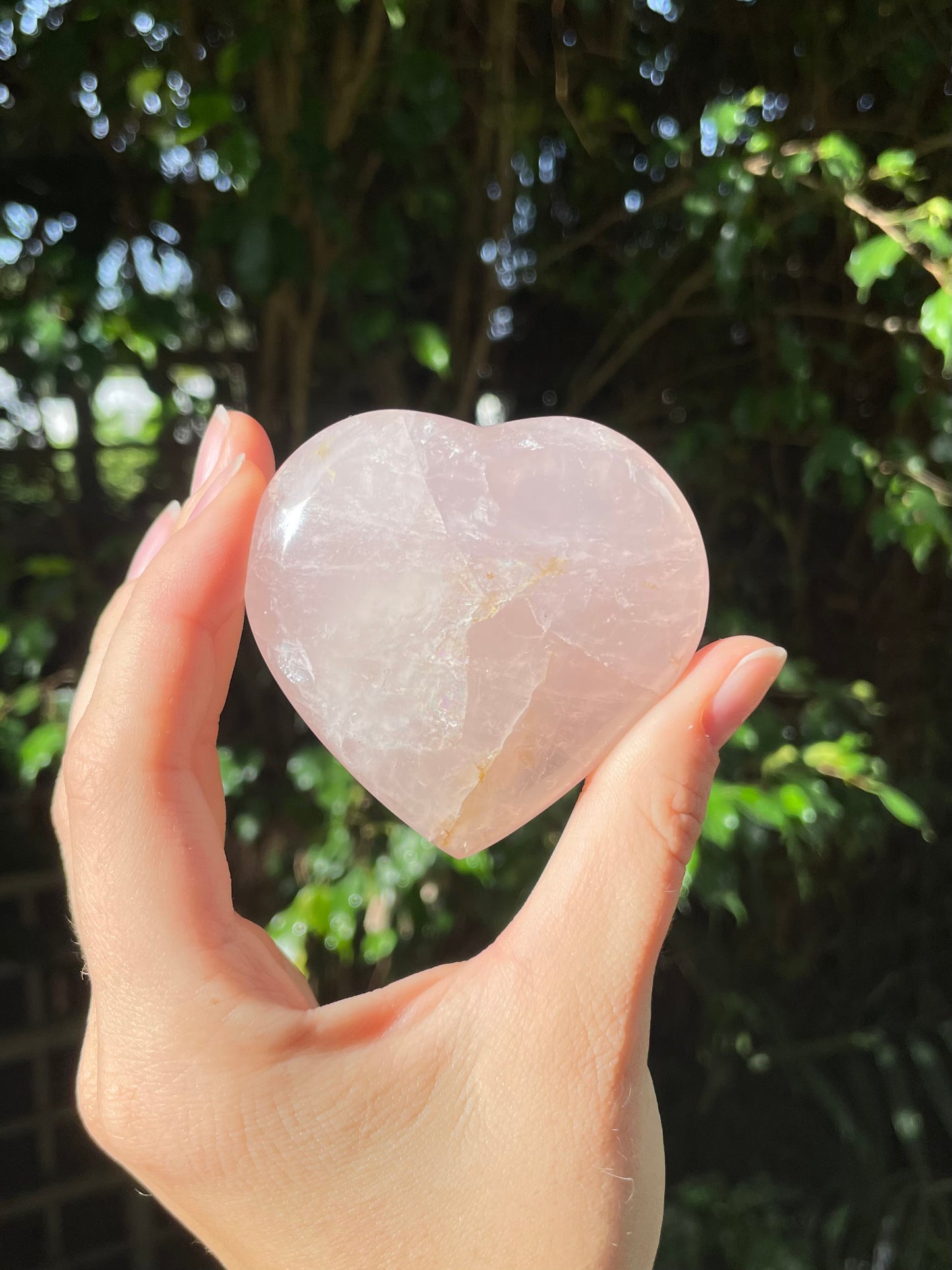 Rose Quartz Heart (c)